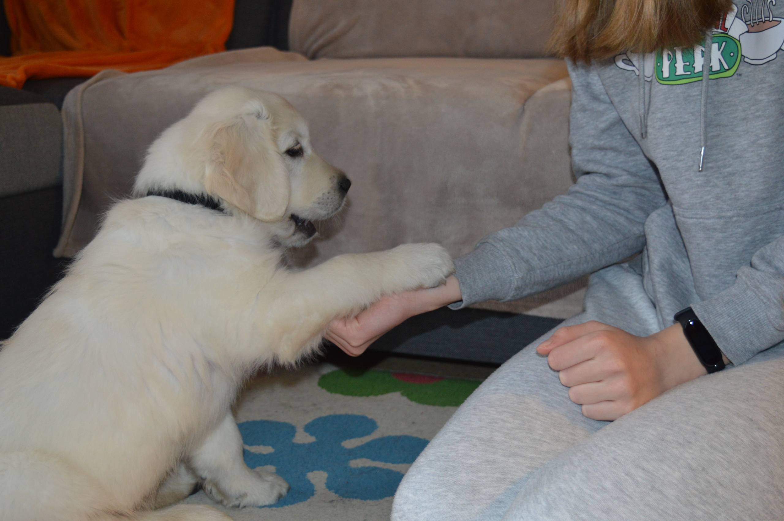 IMG 20210103 101326 - ...