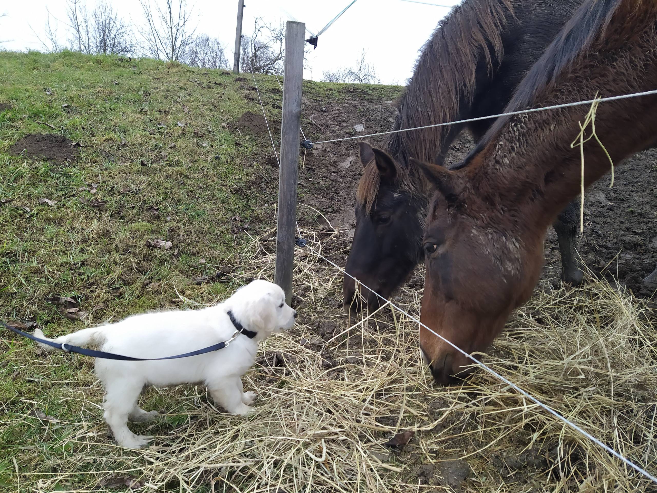 IMG 20210103 140826 - ...