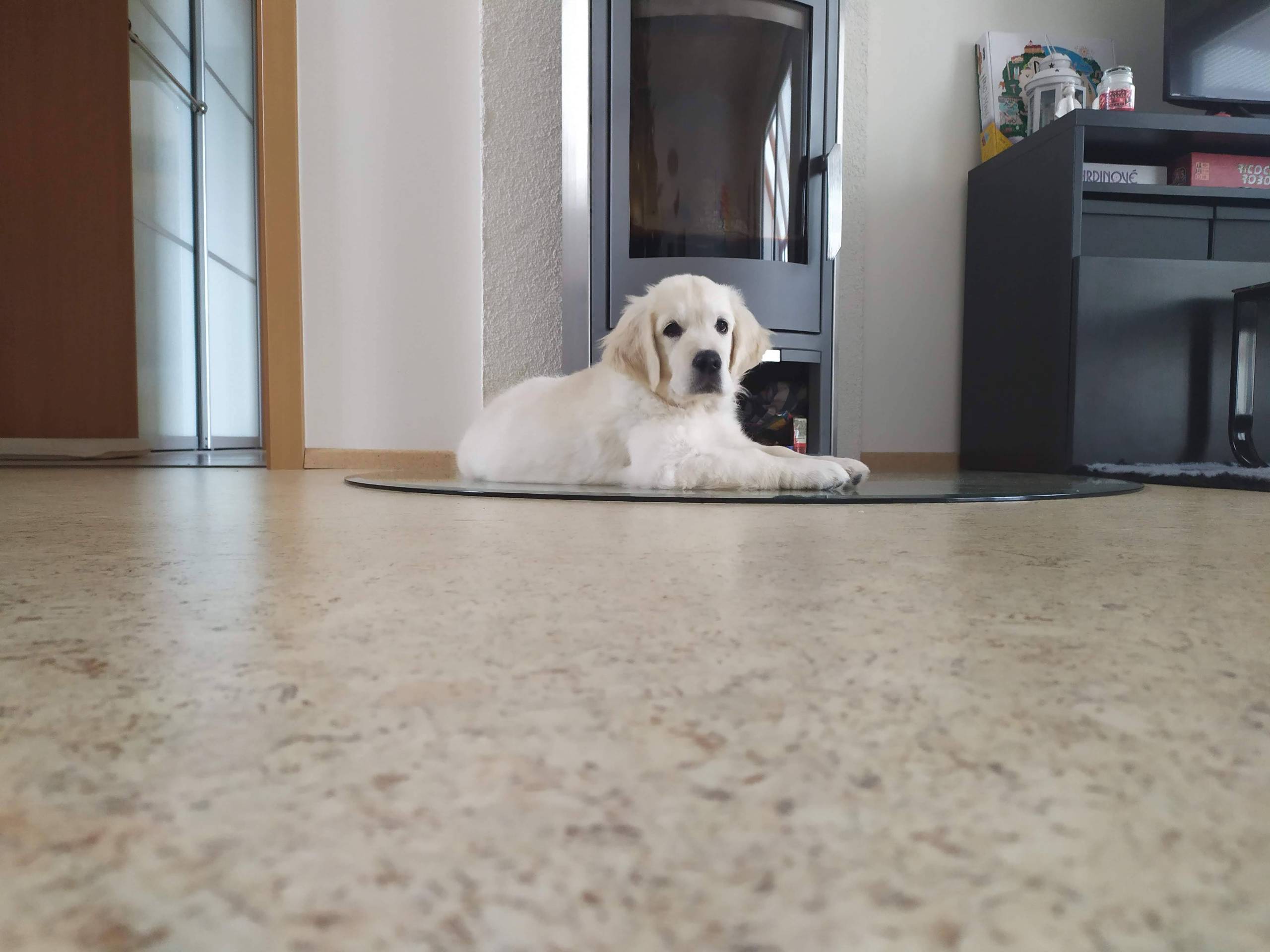 IMG 20210107 115756 - ...