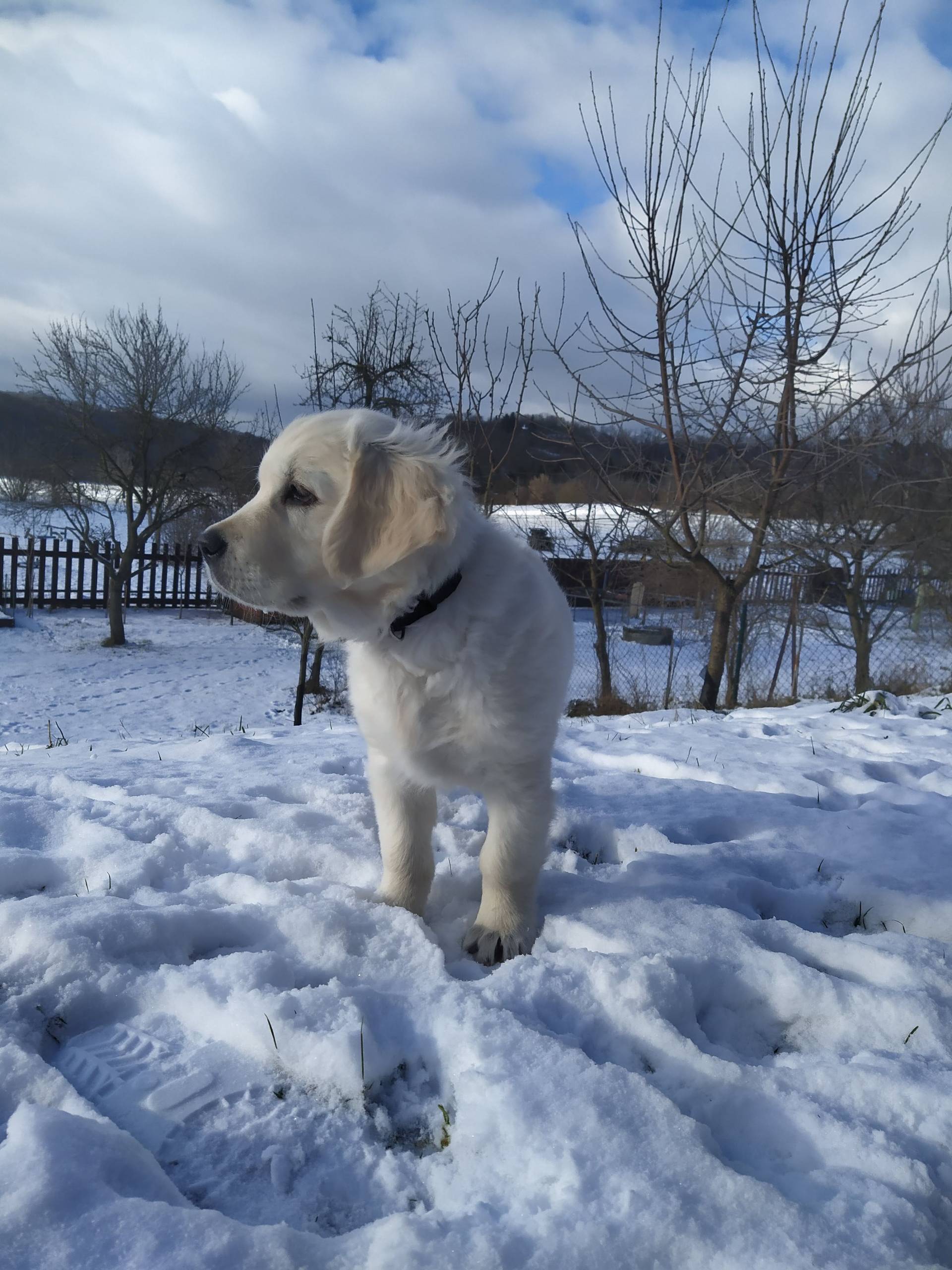 IMG 20210114 133126 - ...