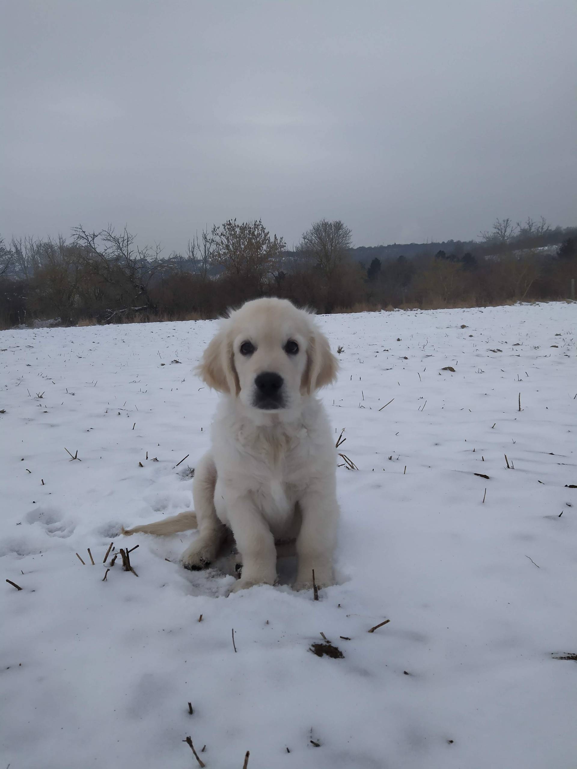 IMG 20210118 140500 - ...