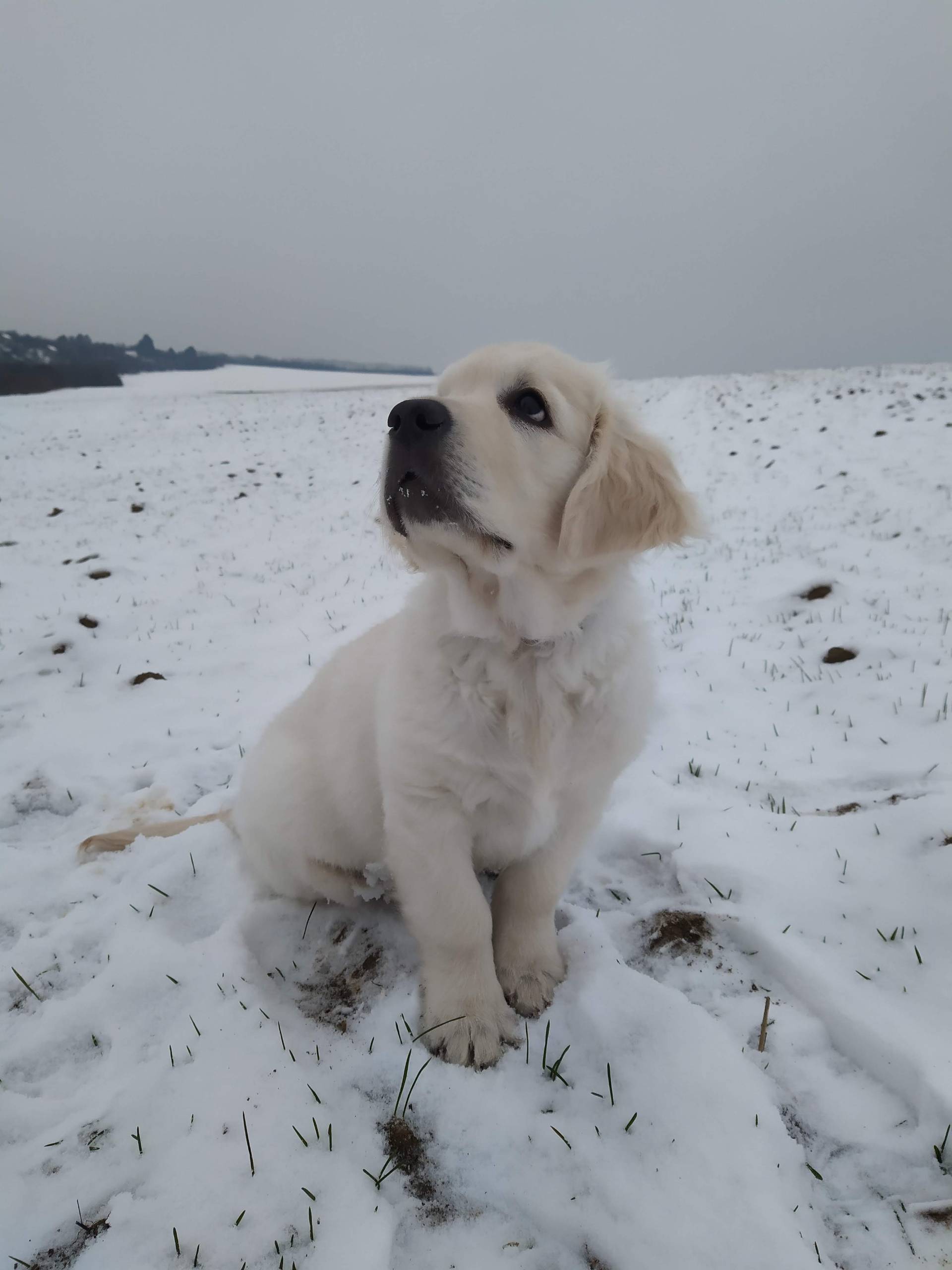 IMG 20210118 141122 - ...