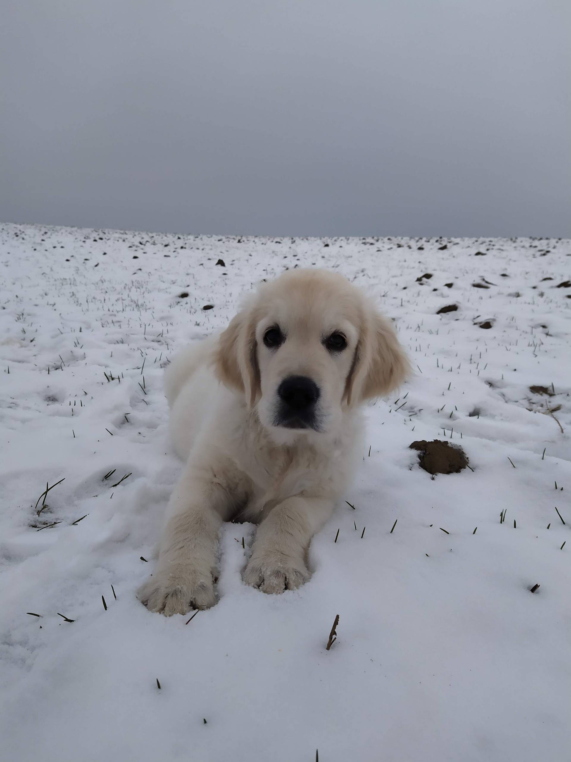 IMG 20210118 141135 - ...