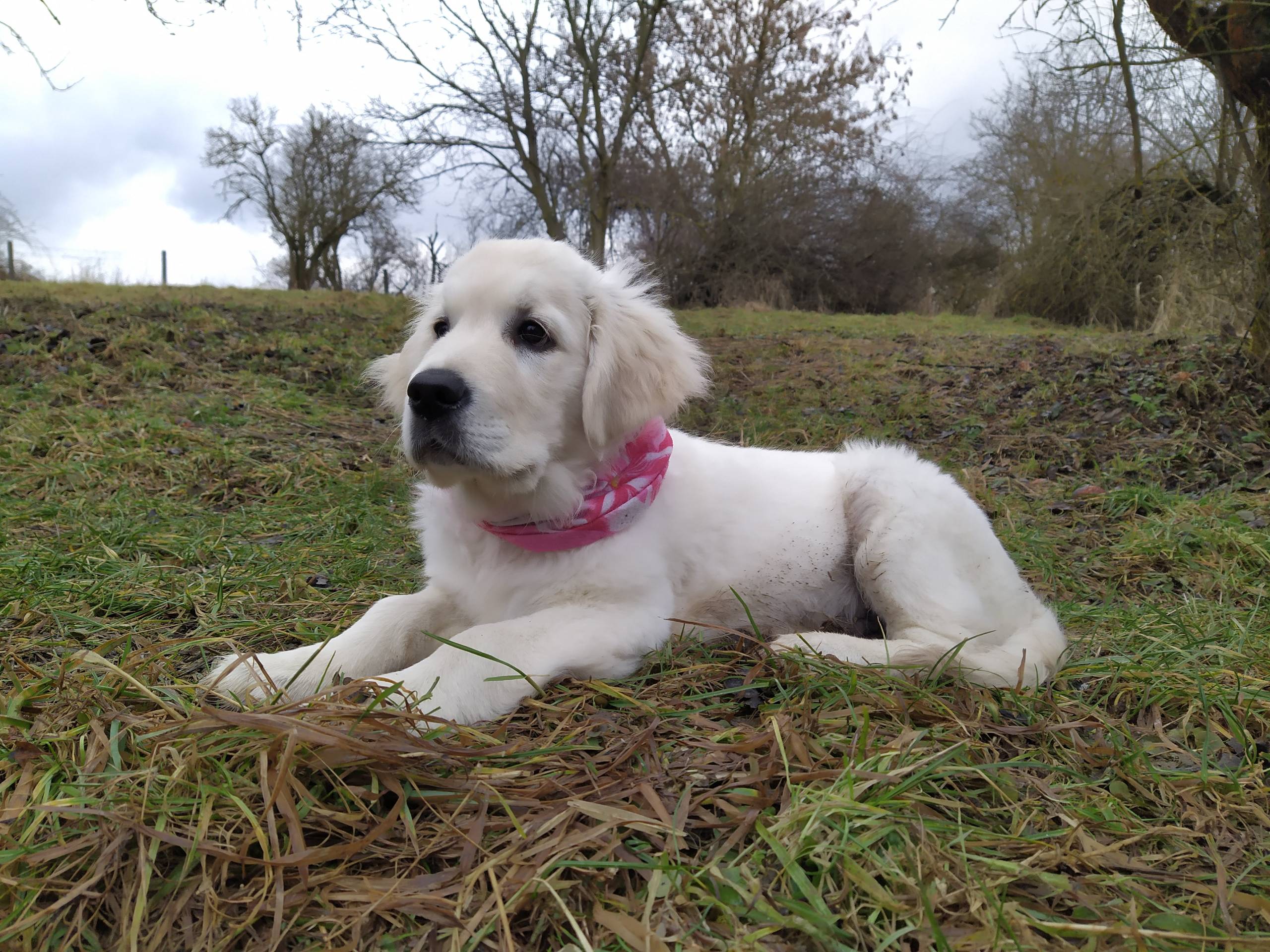 IMG 20210130 142502 - ...