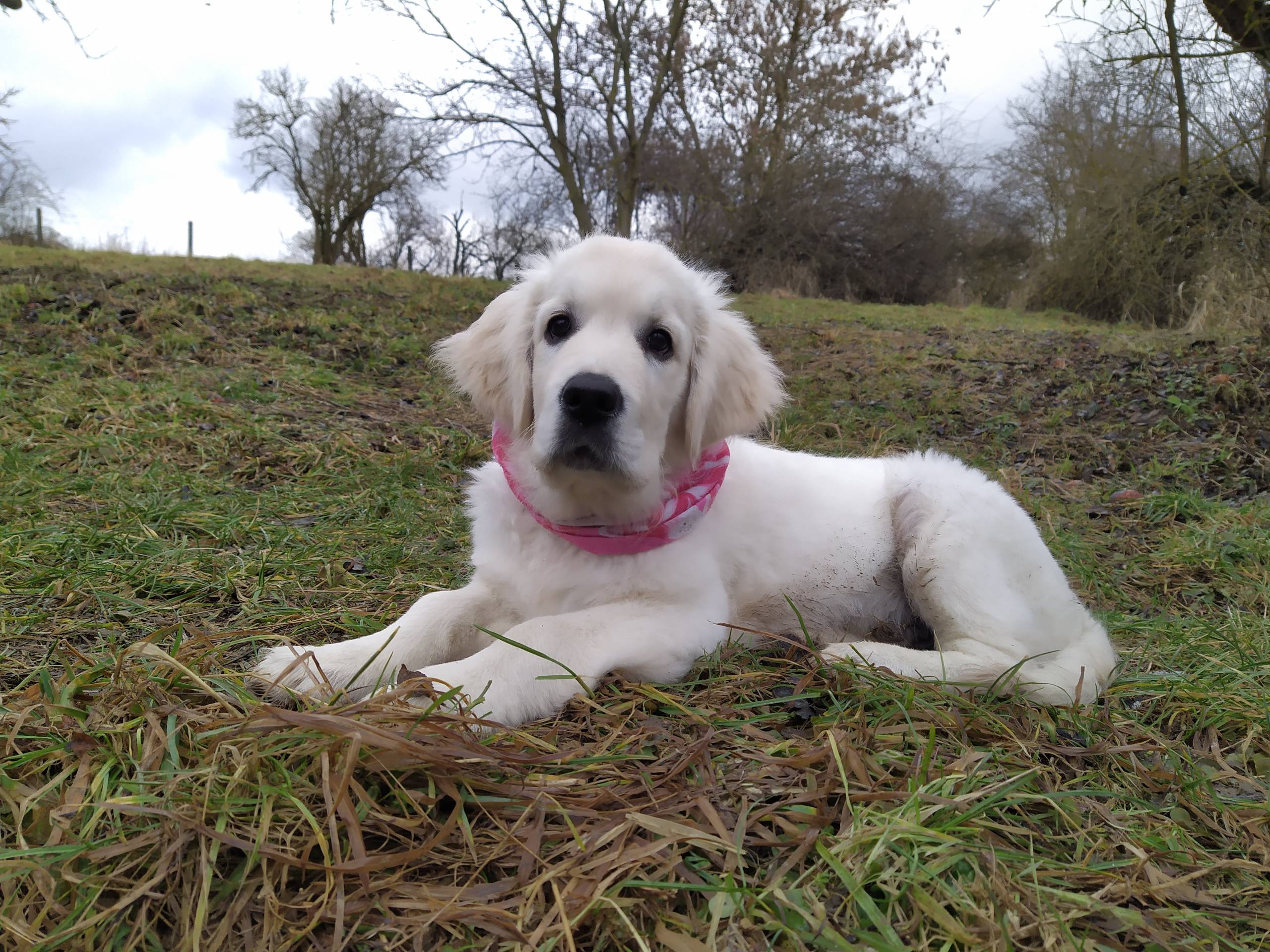 IMG 20210130 142513 - ...