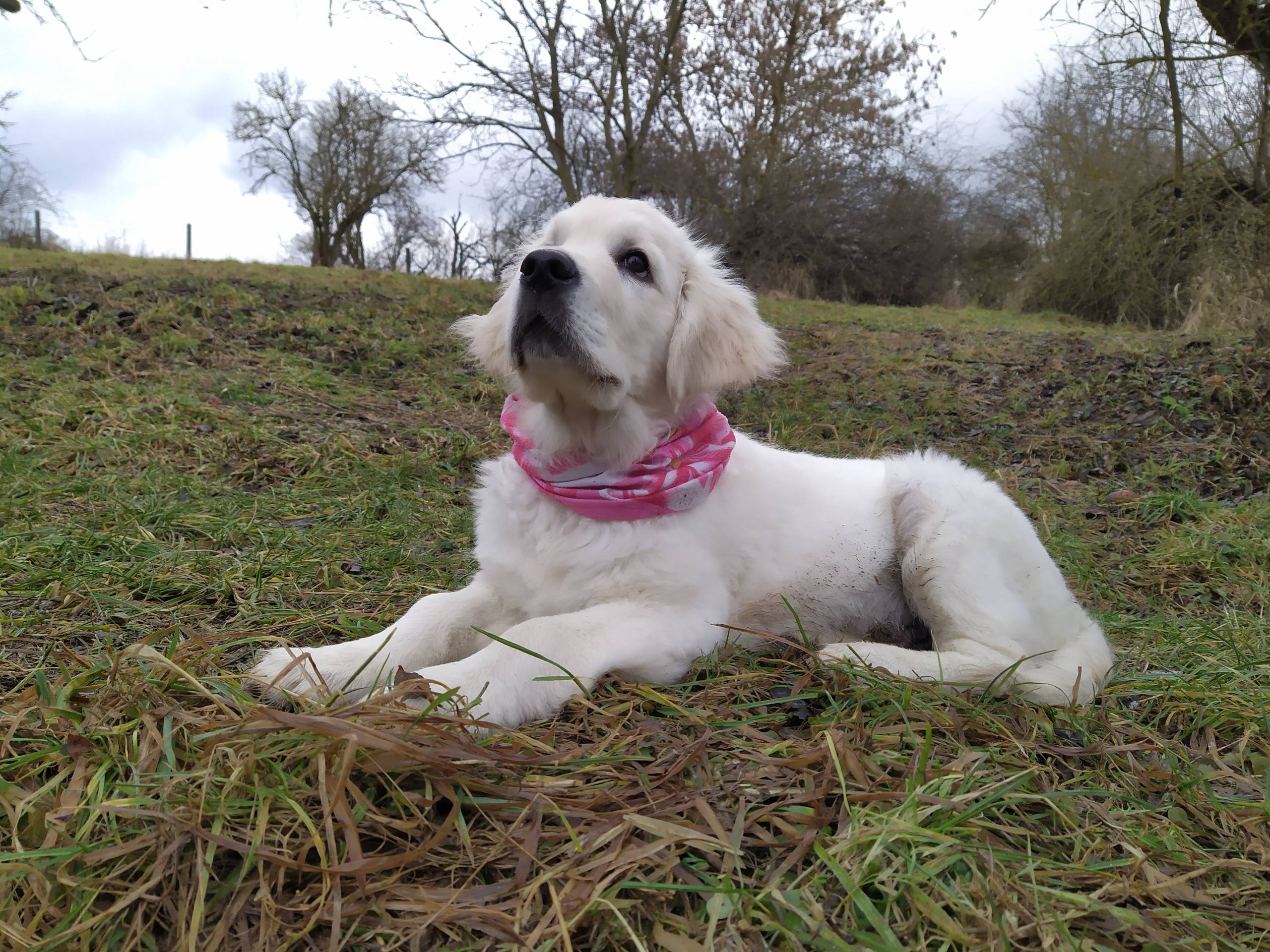 IMG 20210130 142514 - ...