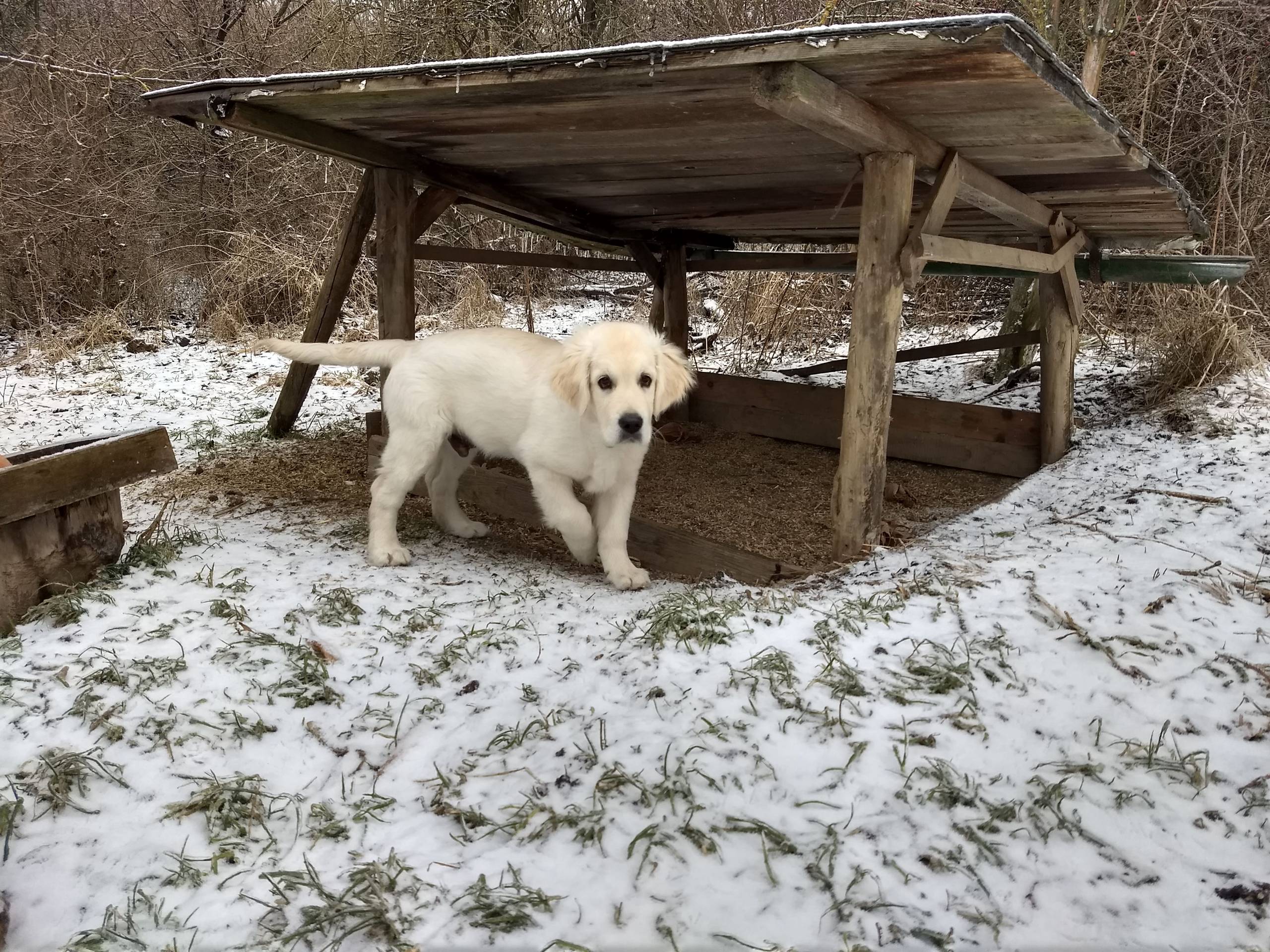 IMG 20210208 100446357 HDR - ...