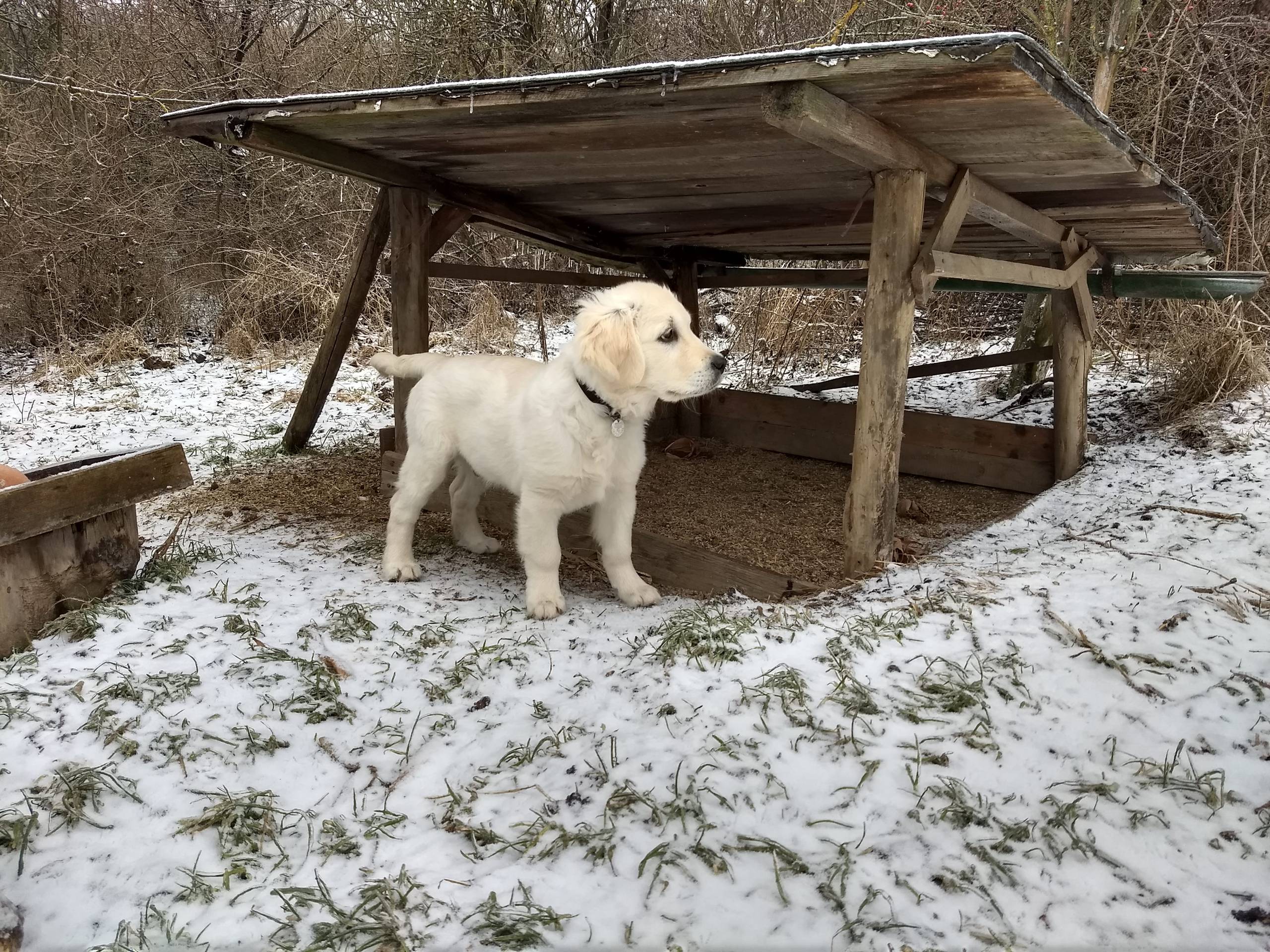 IMG 20210208 100448436 HDR - ...