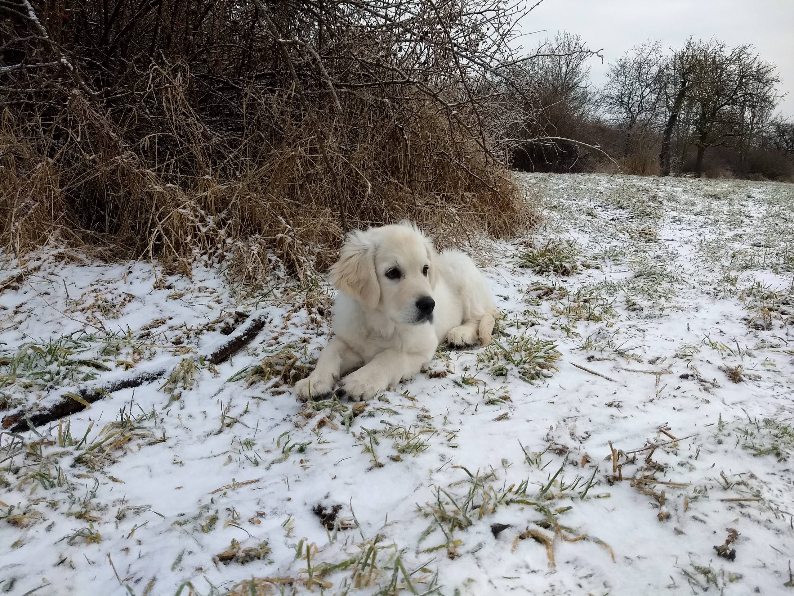 IMG 20210208 101640150 - ...