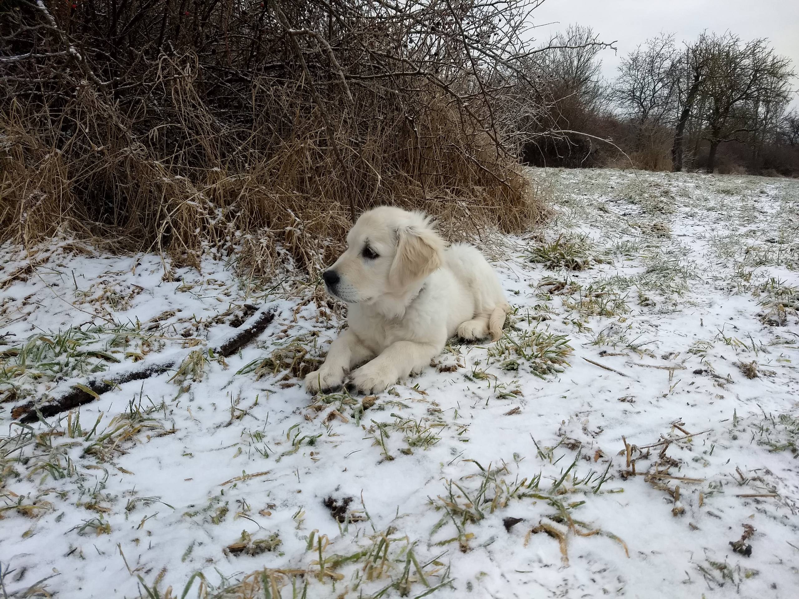 IMG 20210208 101642013 - ...