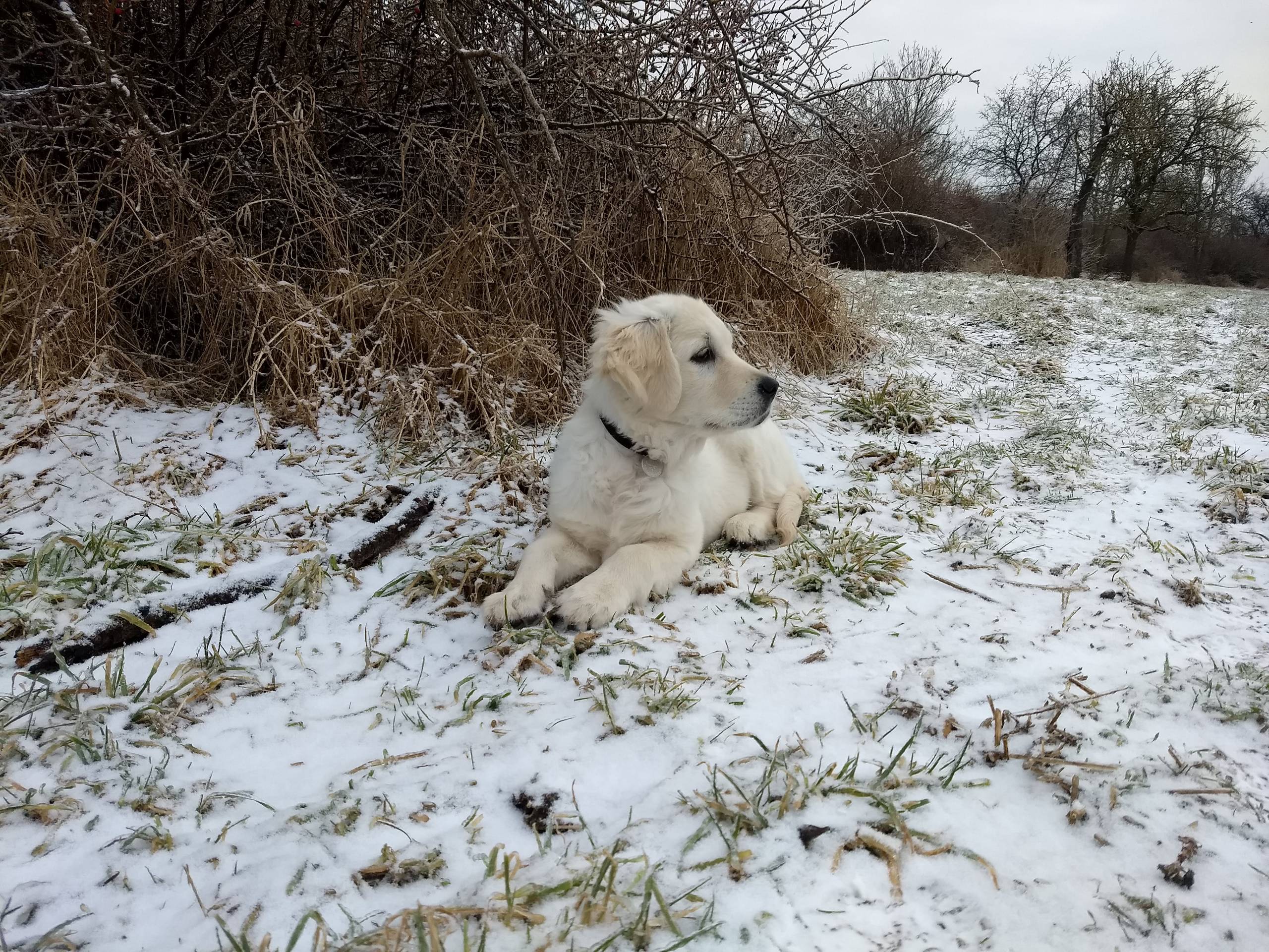 IMG 20210208 101647085 - ...