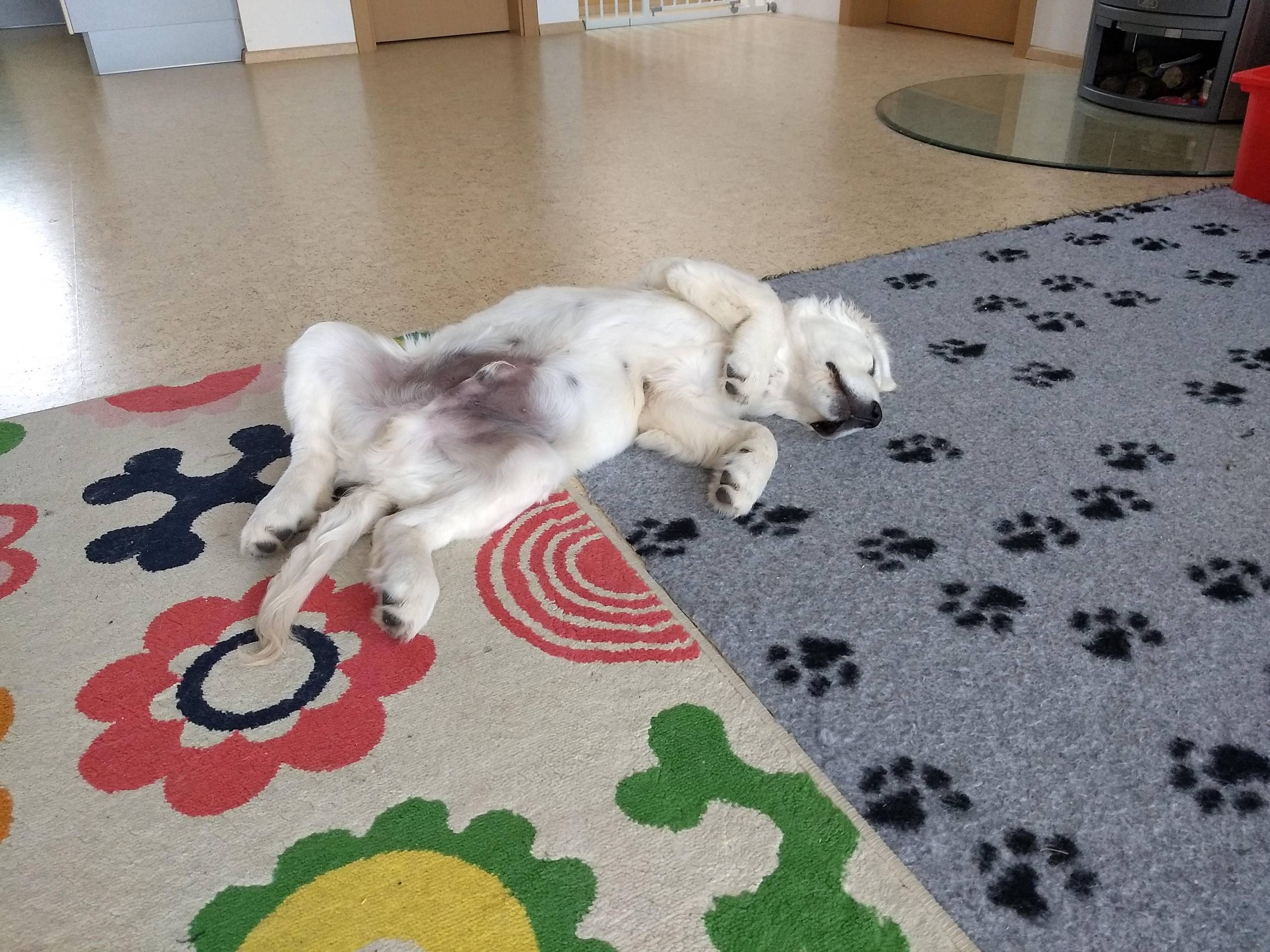 IMG 20210210 114934241 - ...