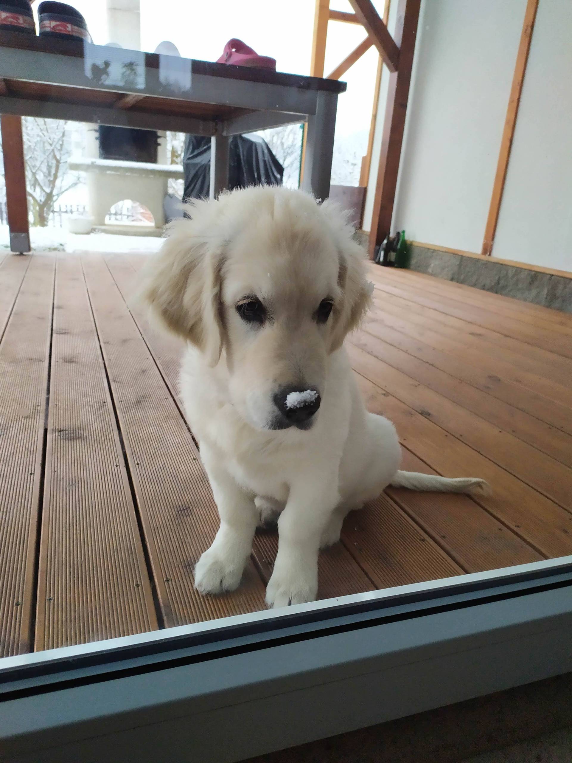 IMG 20210210 162503 - ...