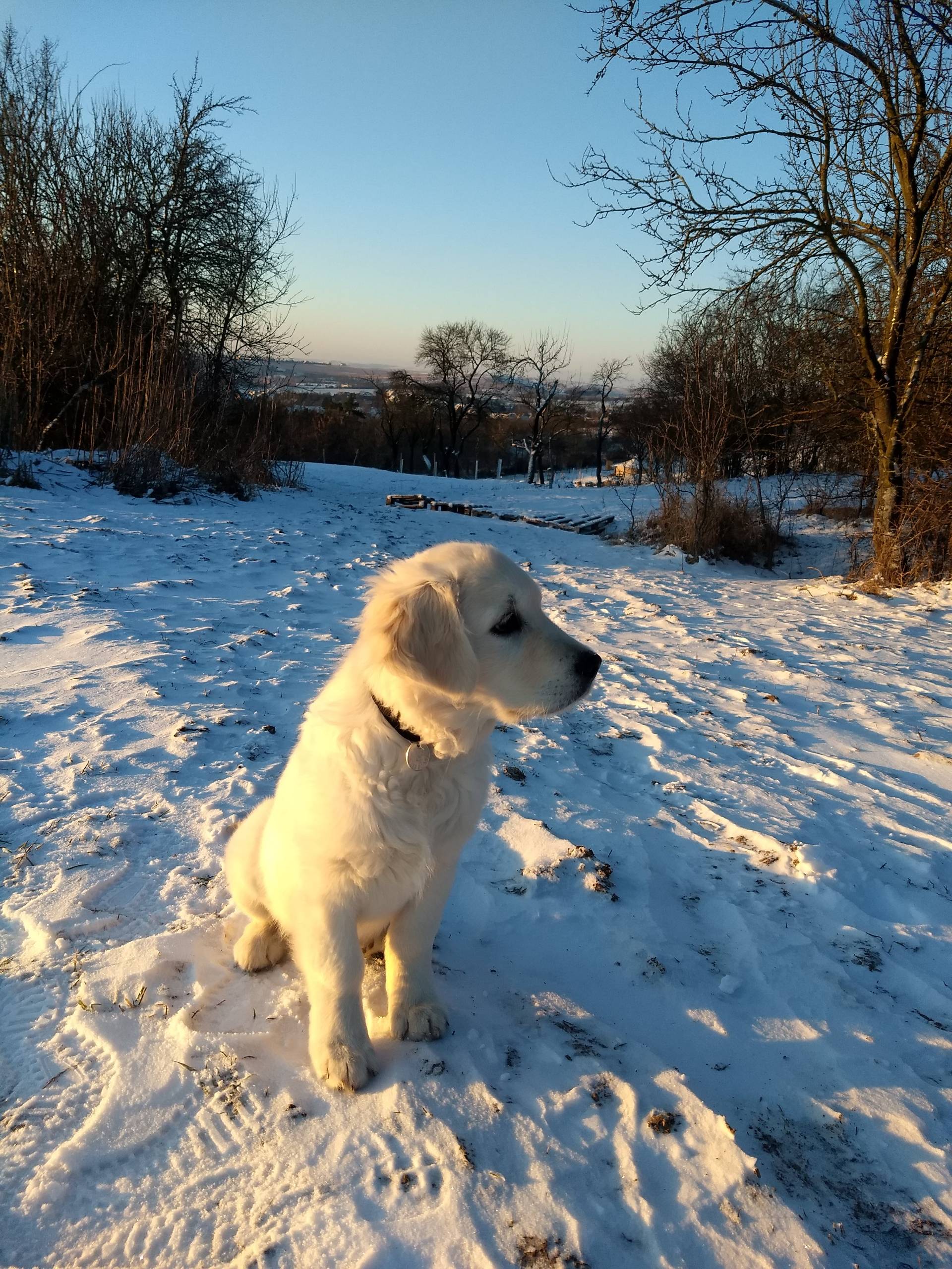 IMG 20210212 073446142 - ...