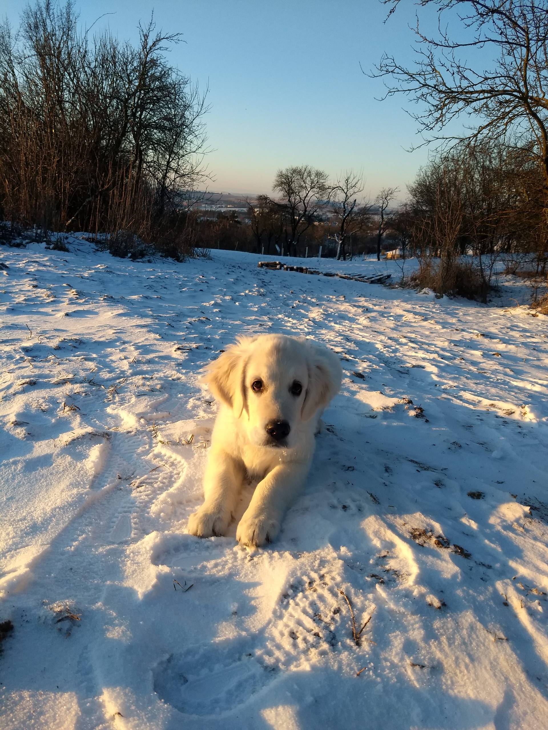 IMG 20210212 073456178 - ...