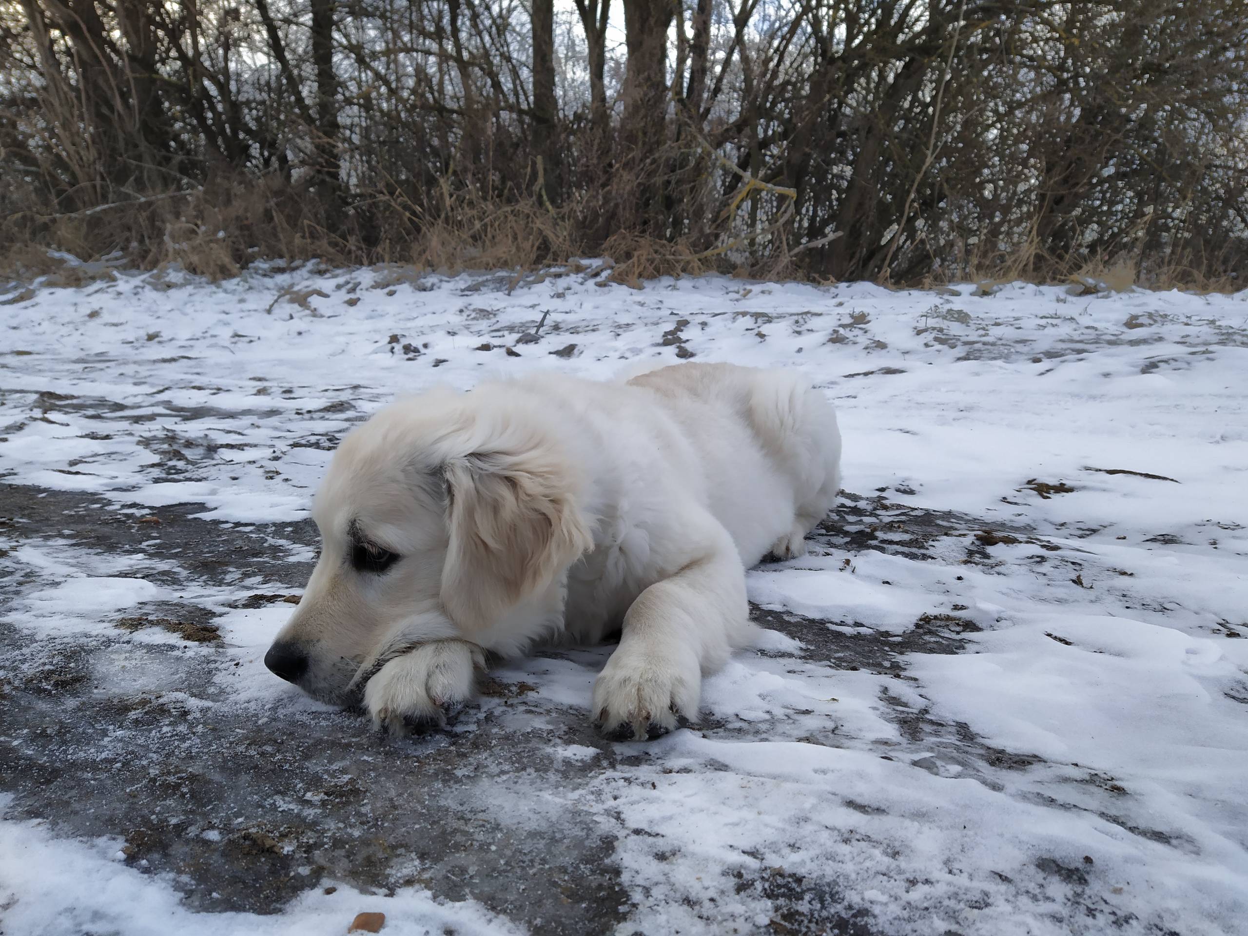 IMG 20210212 135544 - ...