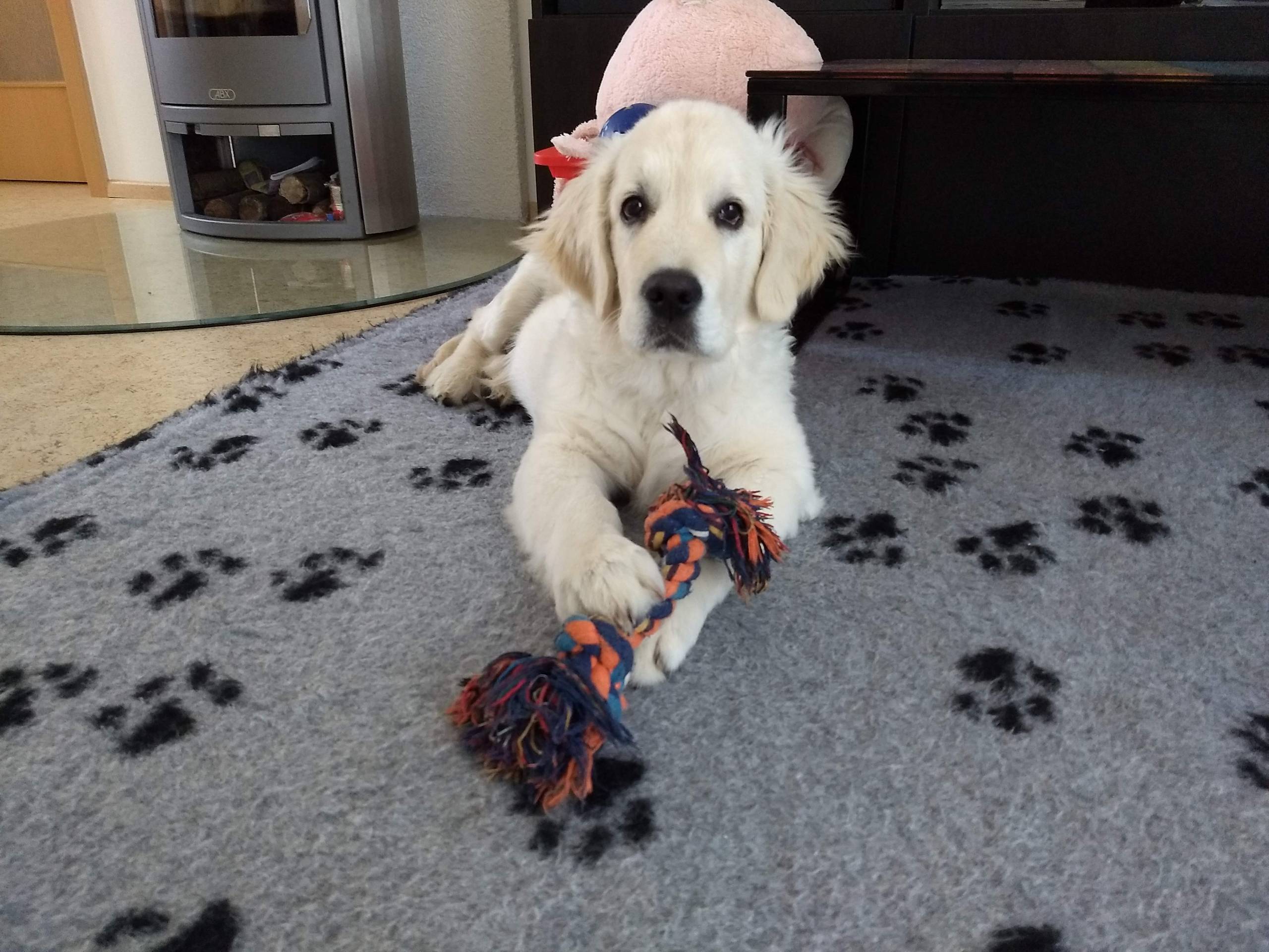 IMG 20210215 110032149 - ...