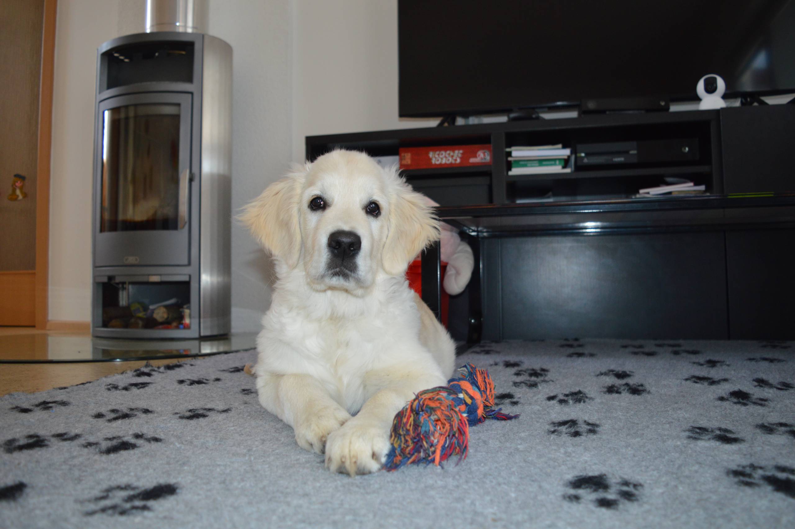 IMG 20210215 111726 - ...