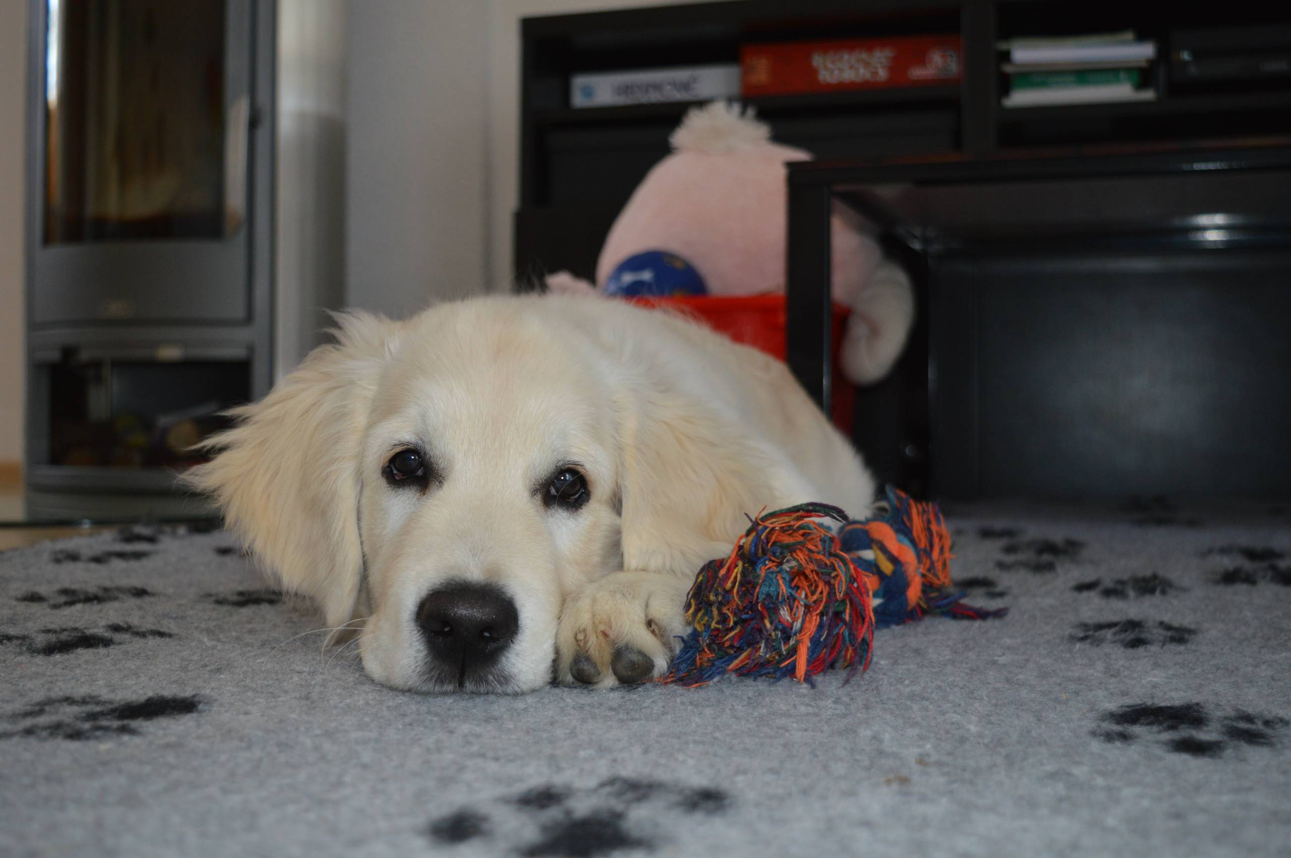 IMG 20210215 111738 - ...