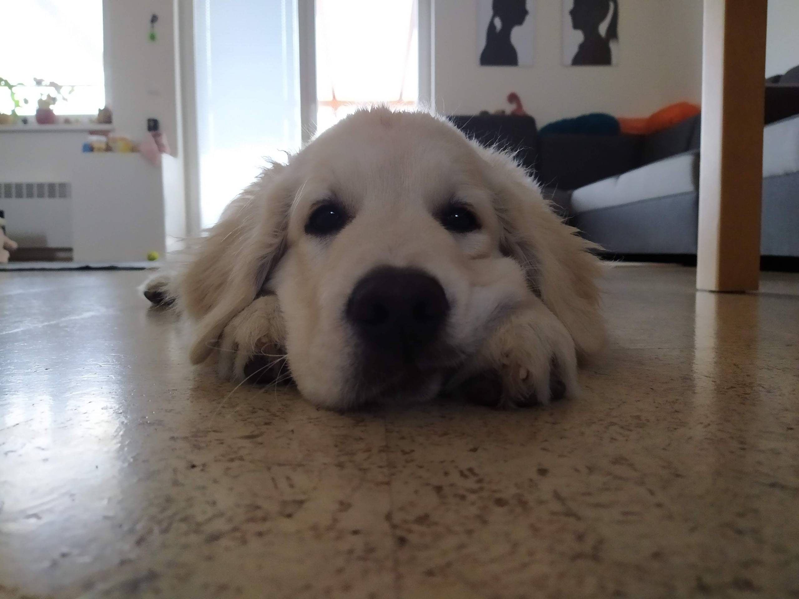 IMG 20210217 080033 - ...