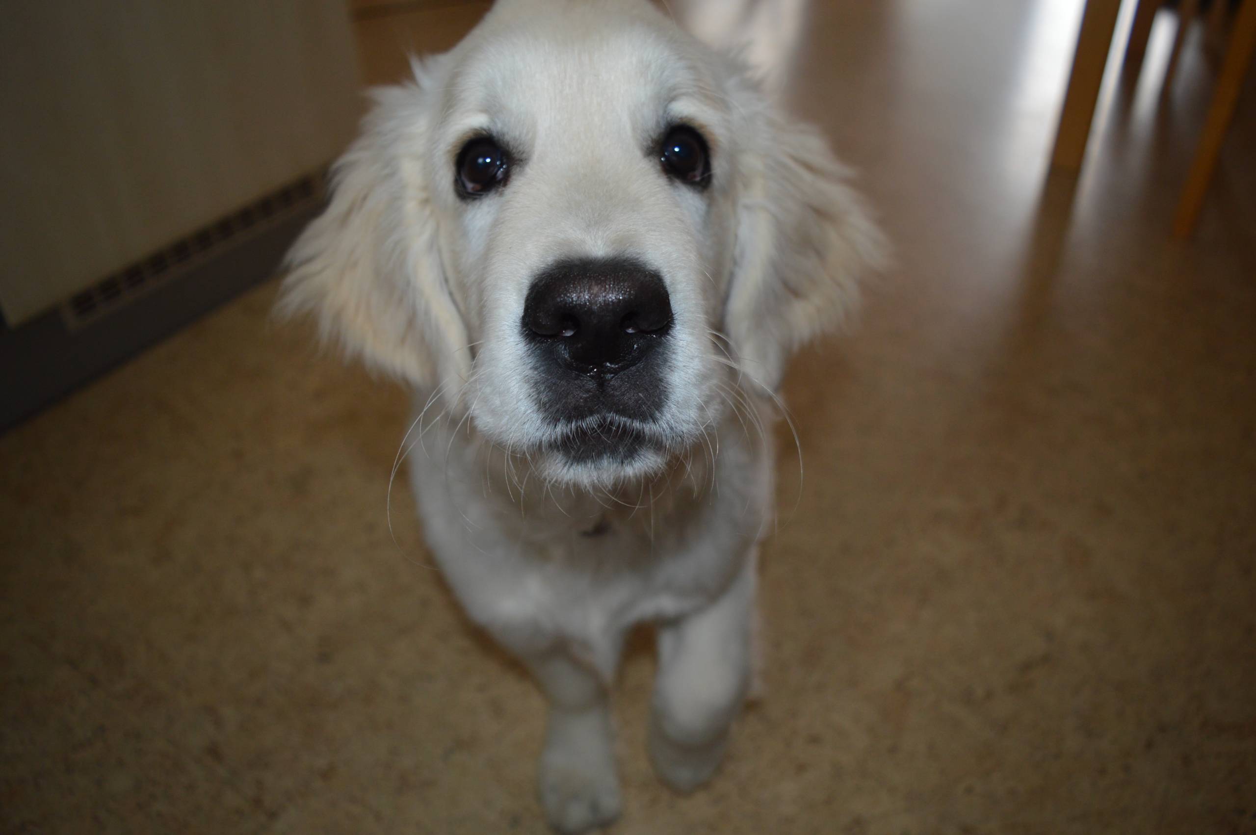 IMG 20210220 114046 - ...