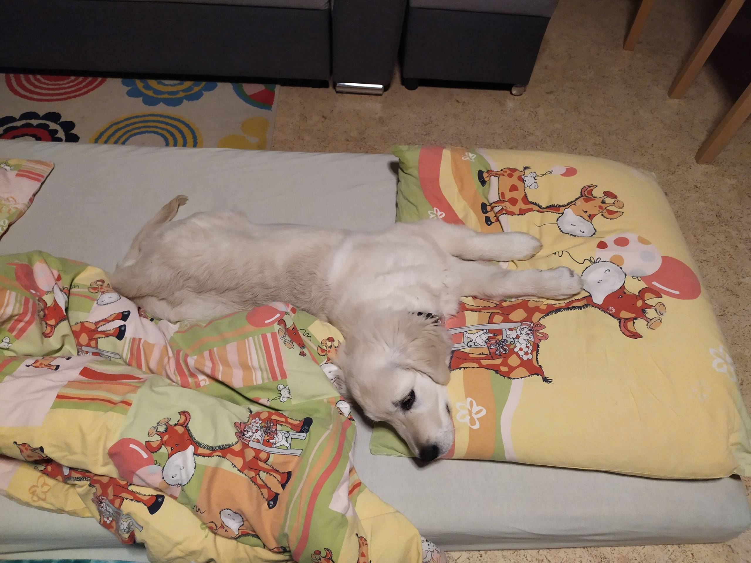 IMG 20210223 213212 - ...