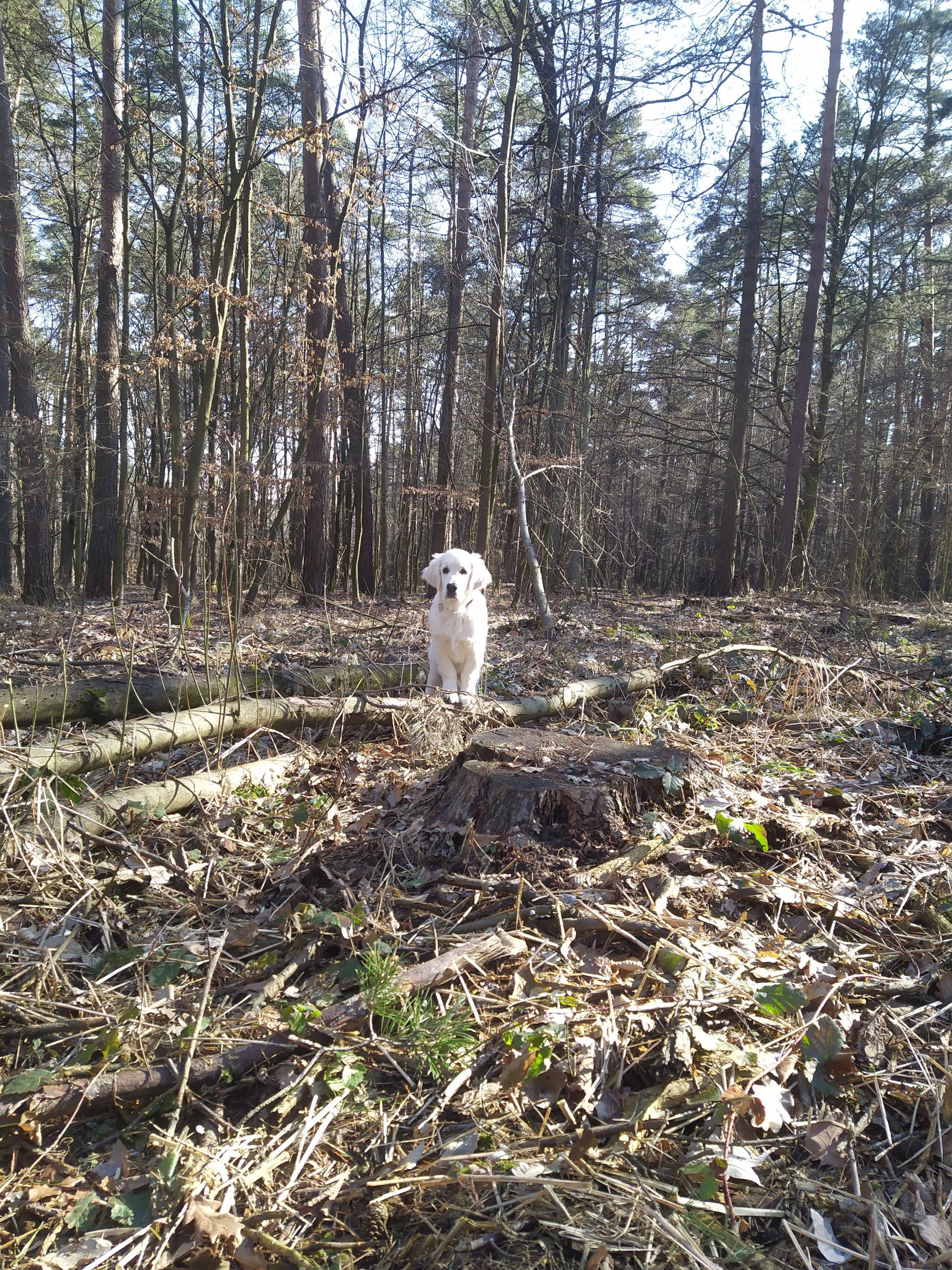 IMG 20210228 140223 - ...