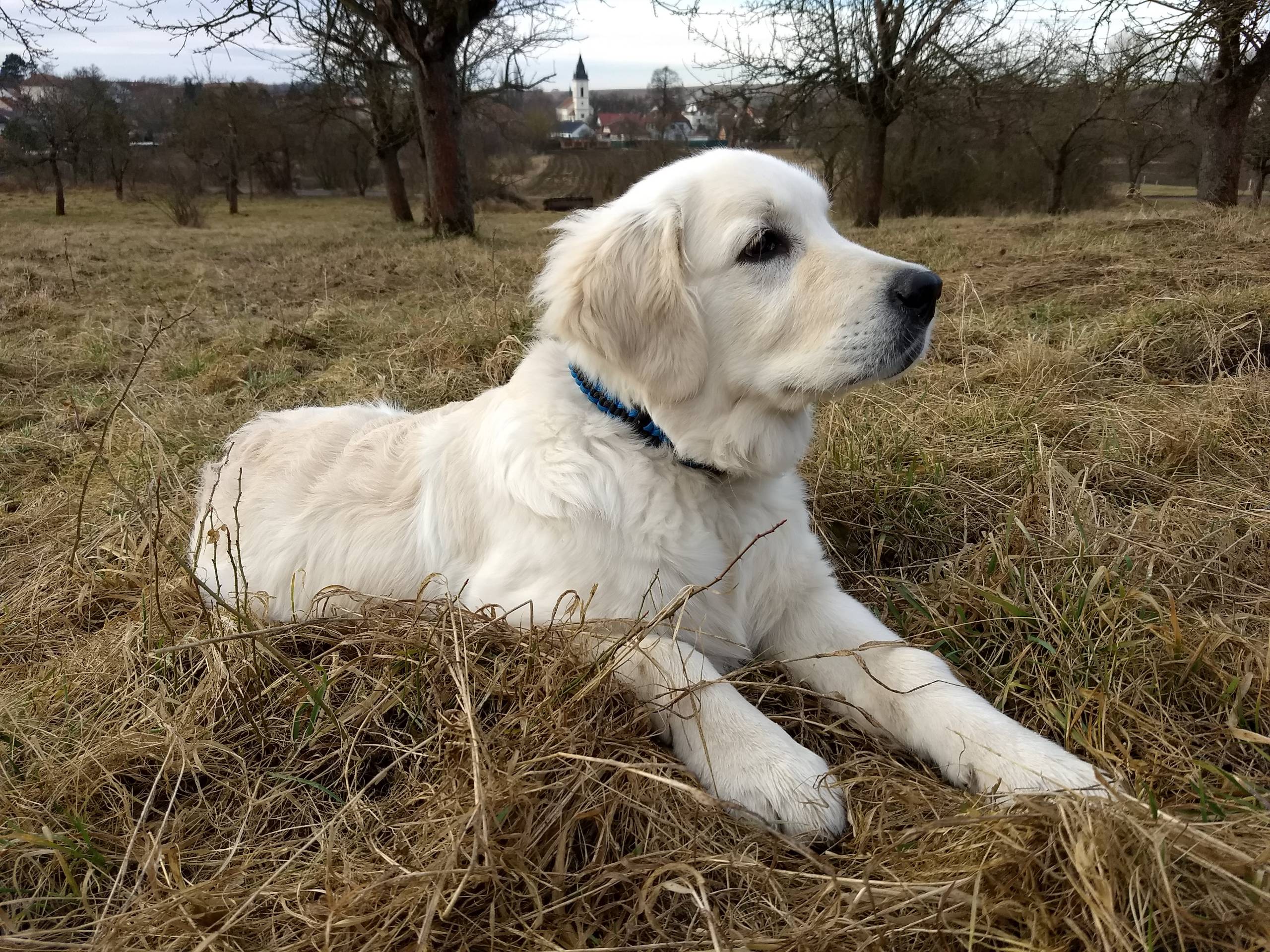 IMG 20210313 082127668 - ...