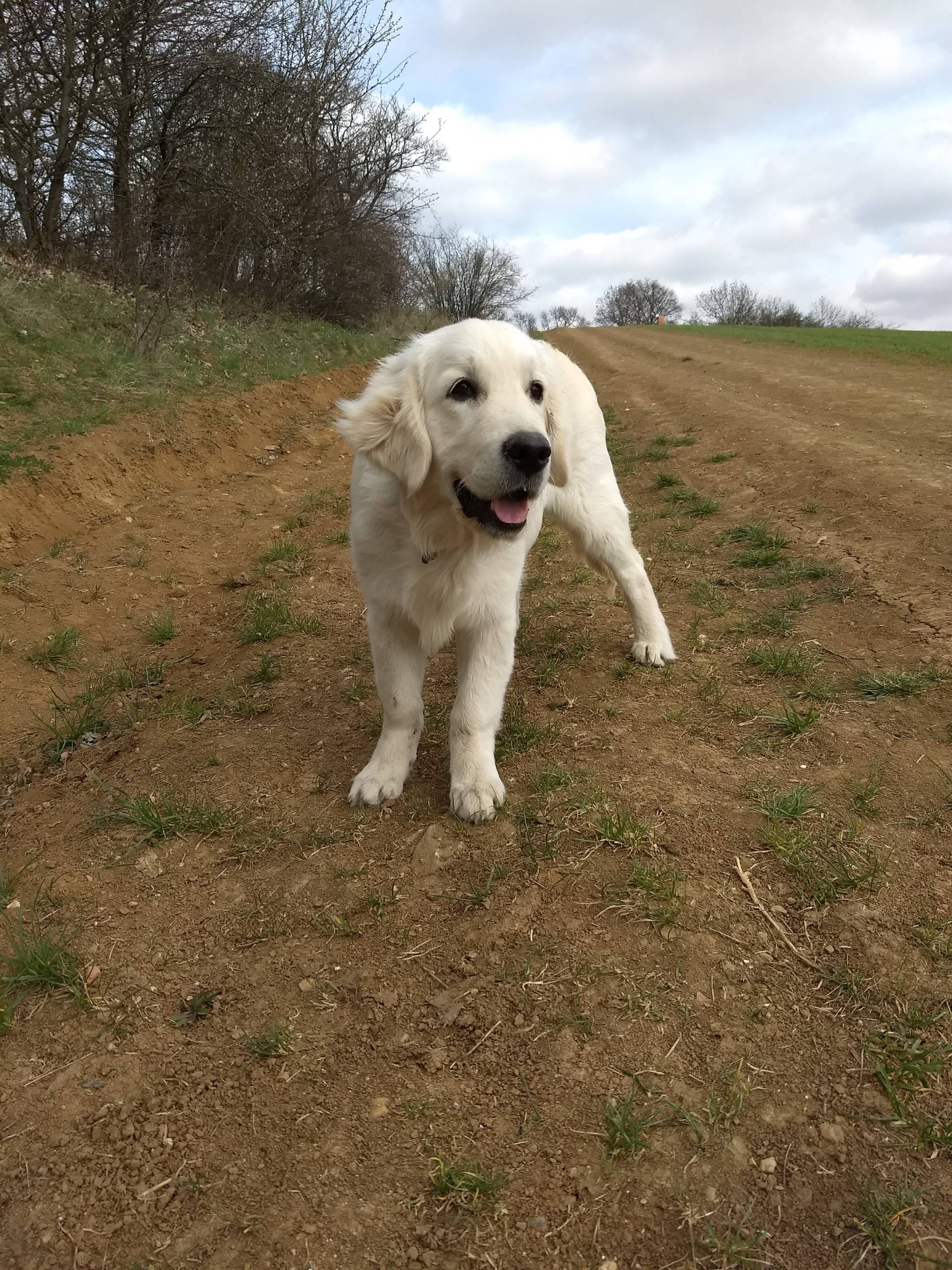 IMG 20210411 100147231 - ...