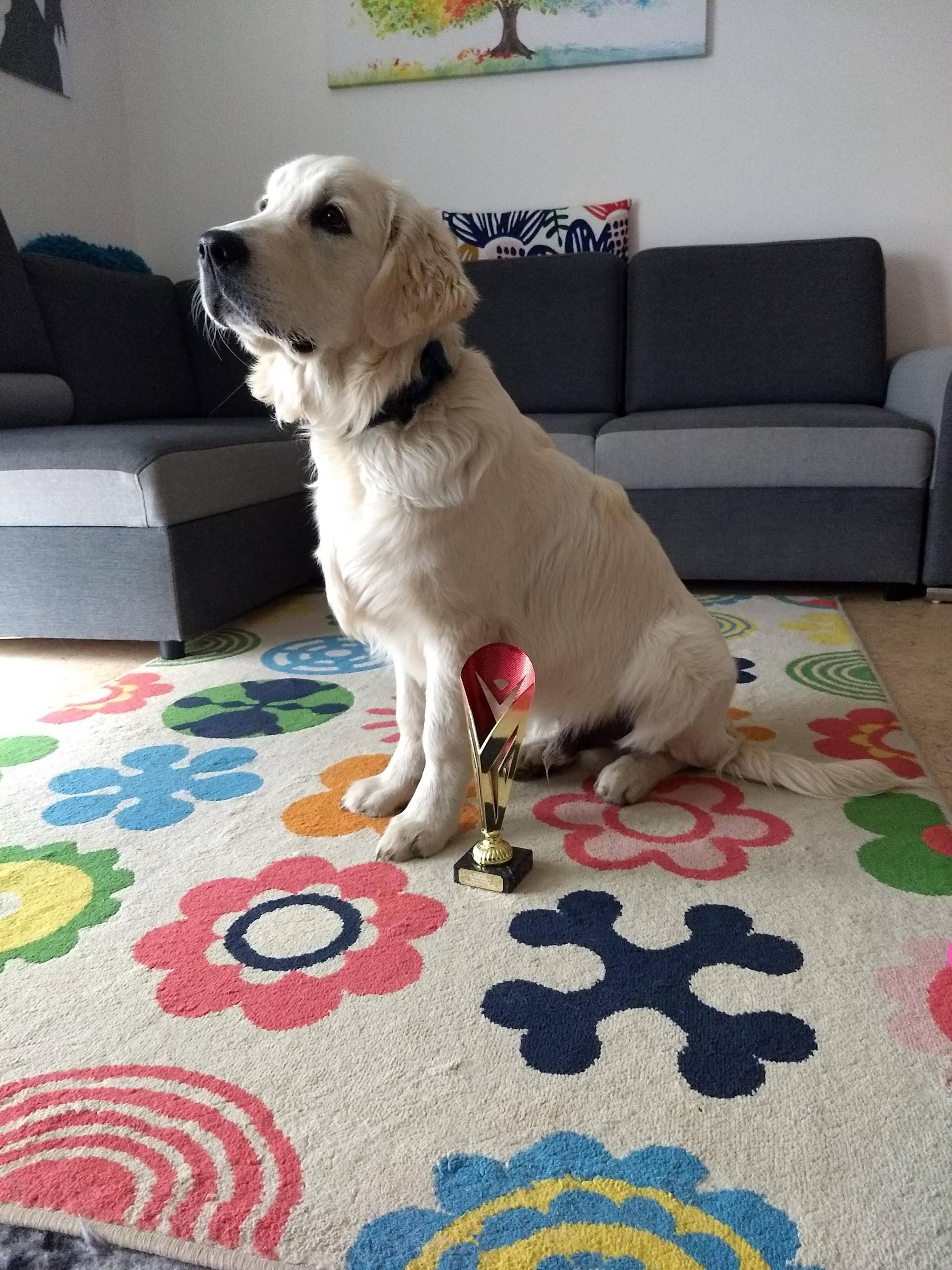 IMG 20210504 190735459 - ...