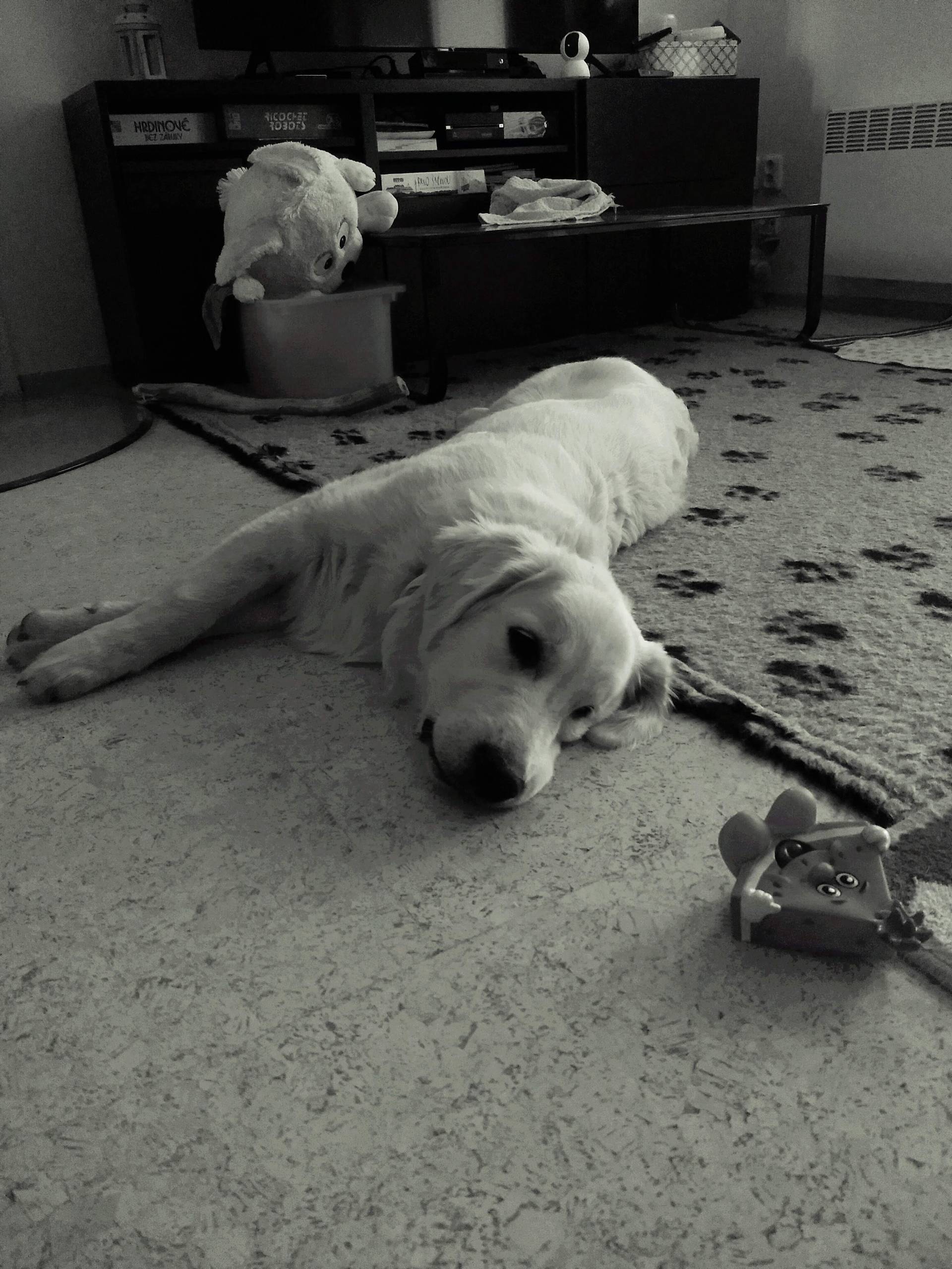 IMG 20210504 193518 - ...