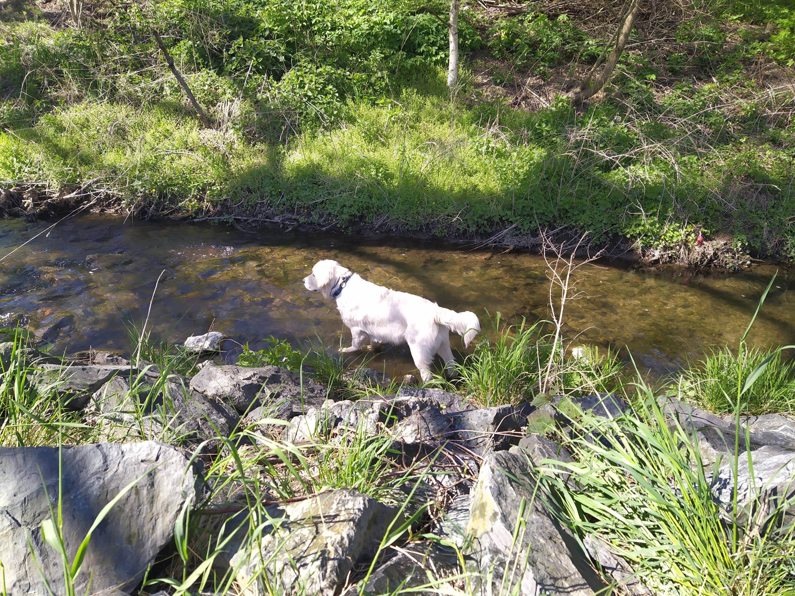 IMG 20210509 094722 - ...