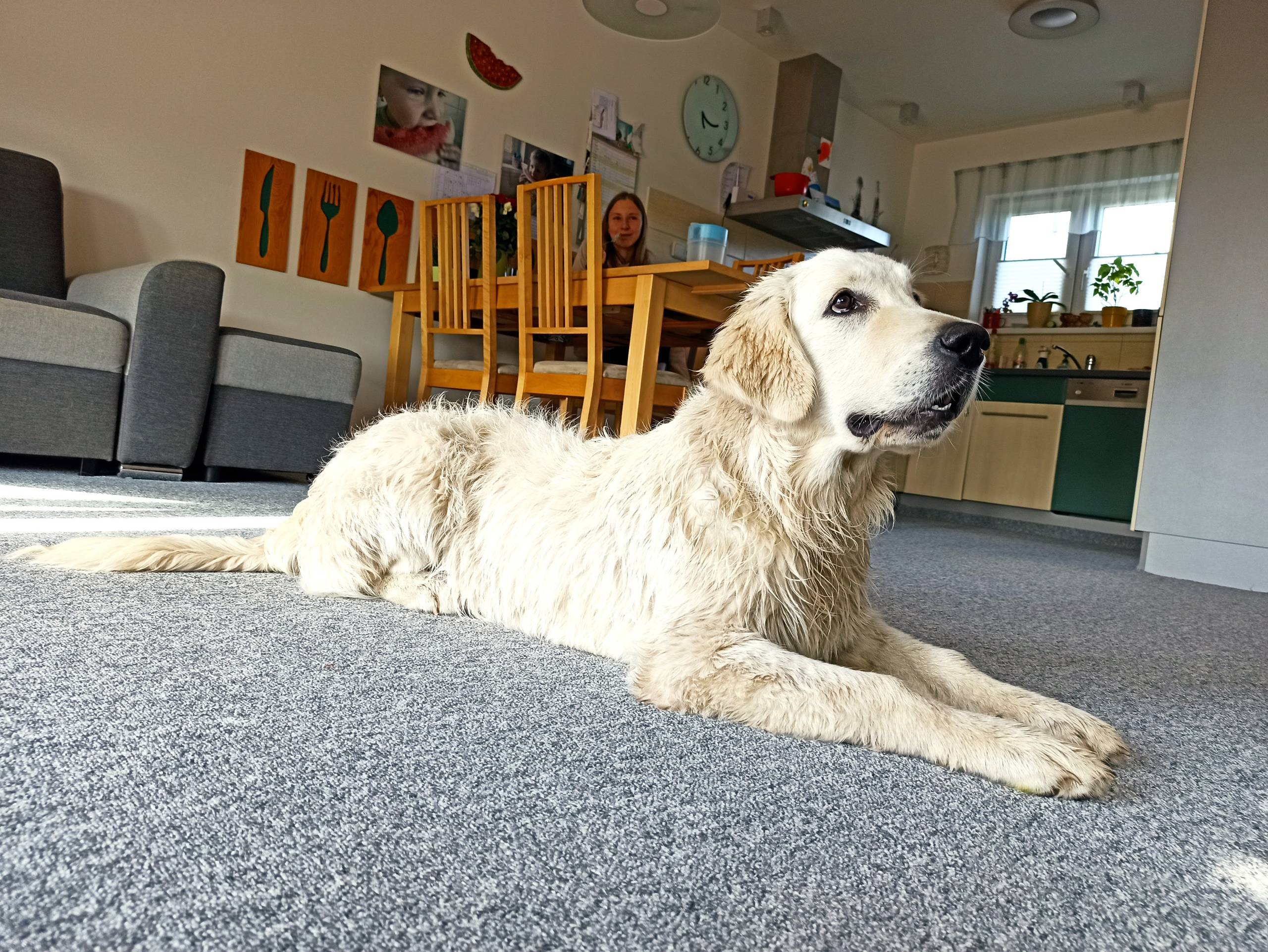 IMG 20210601 171910 - ...