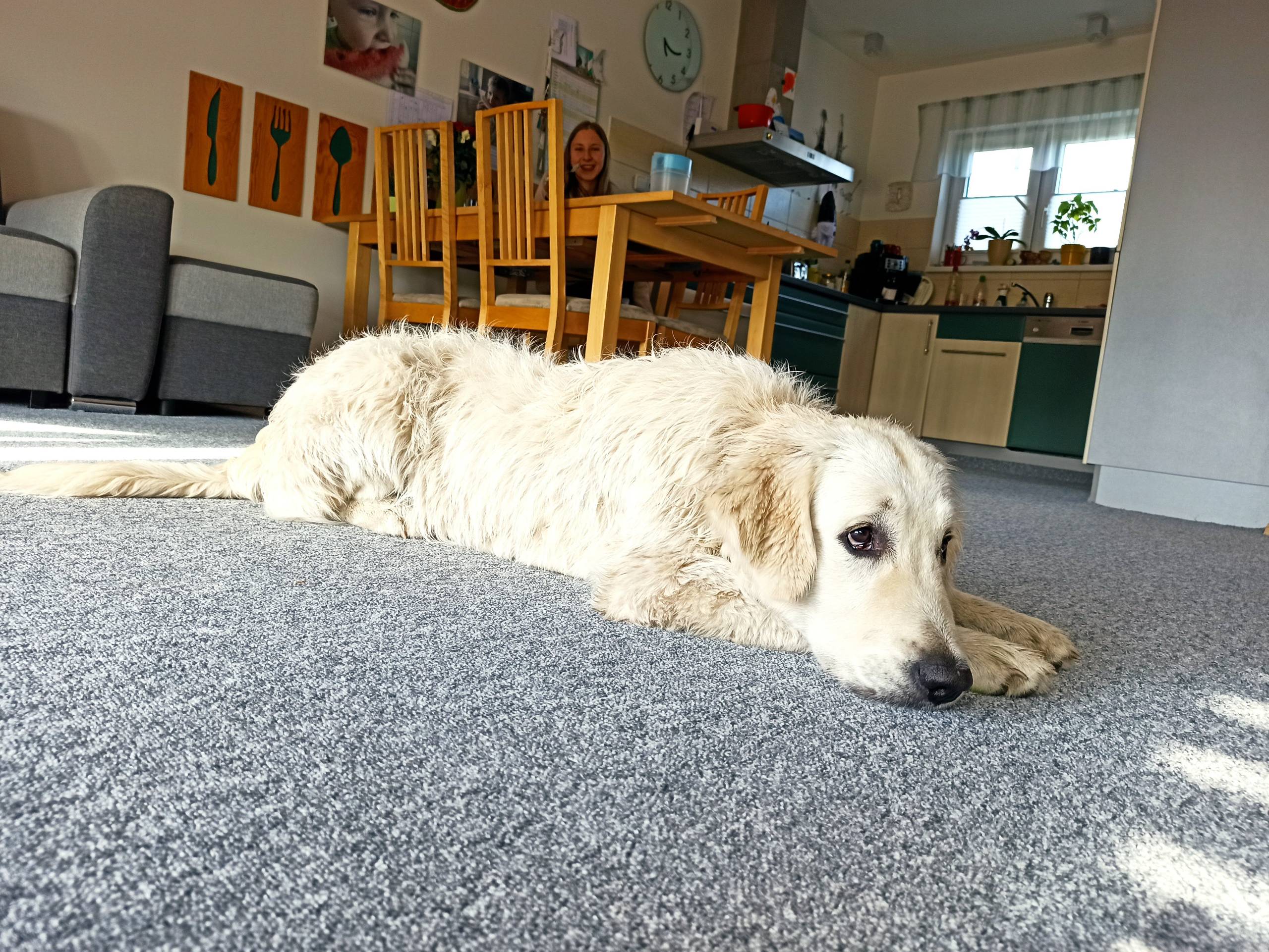 IMG 20210601 171913 - ...