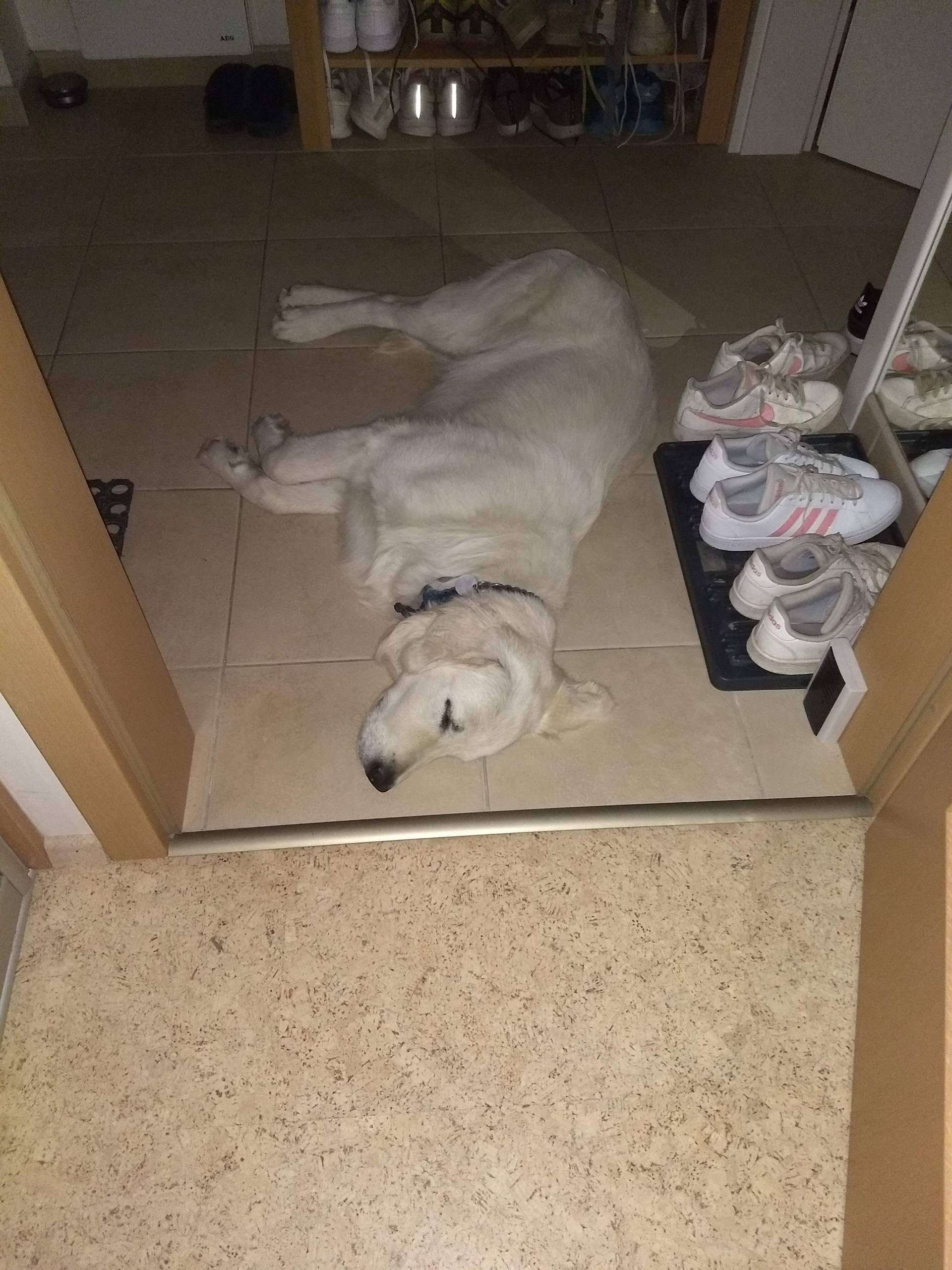 IMG 20210612 231737102 - ...