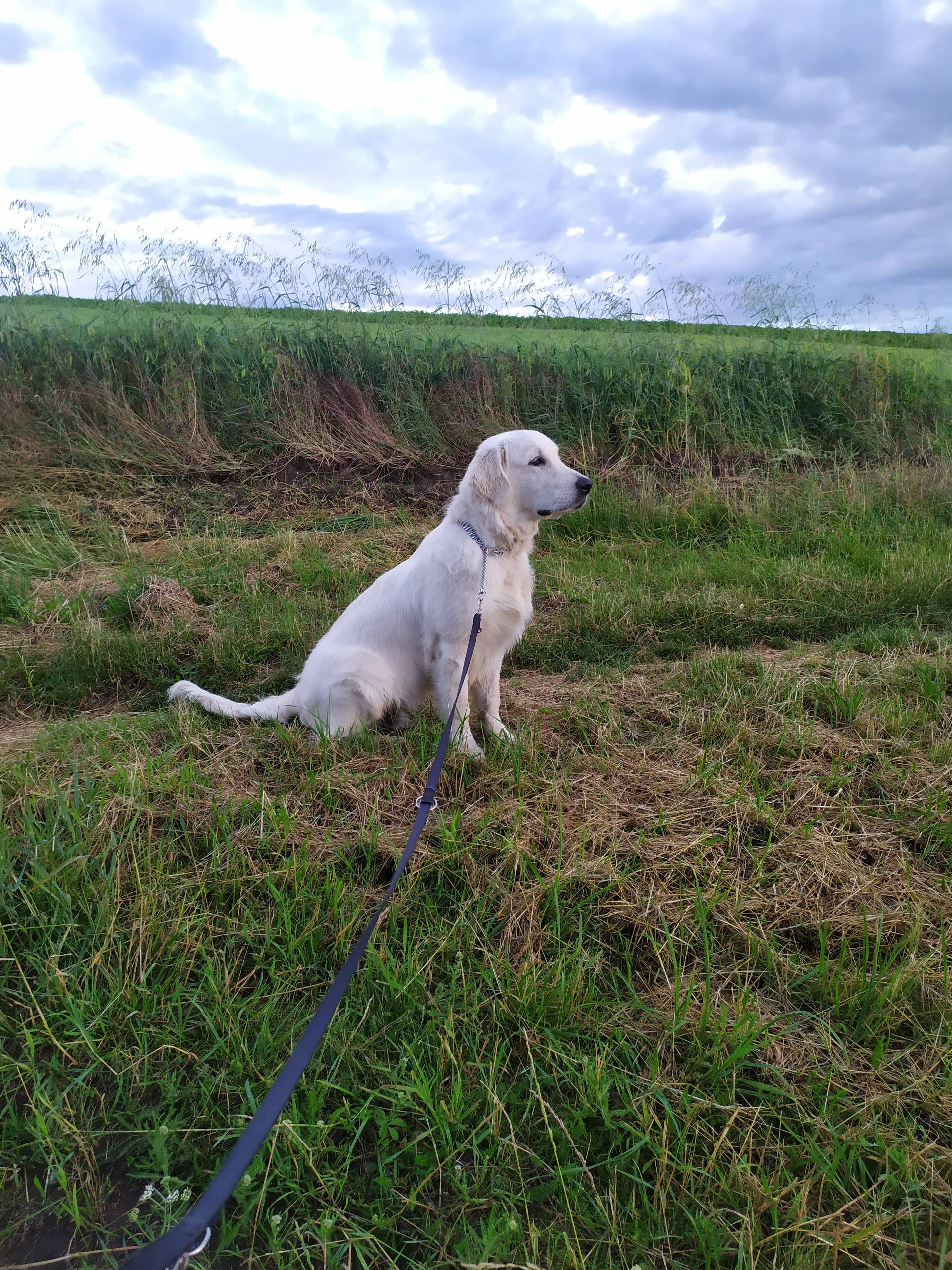 IMG 20210701 202246 - ...