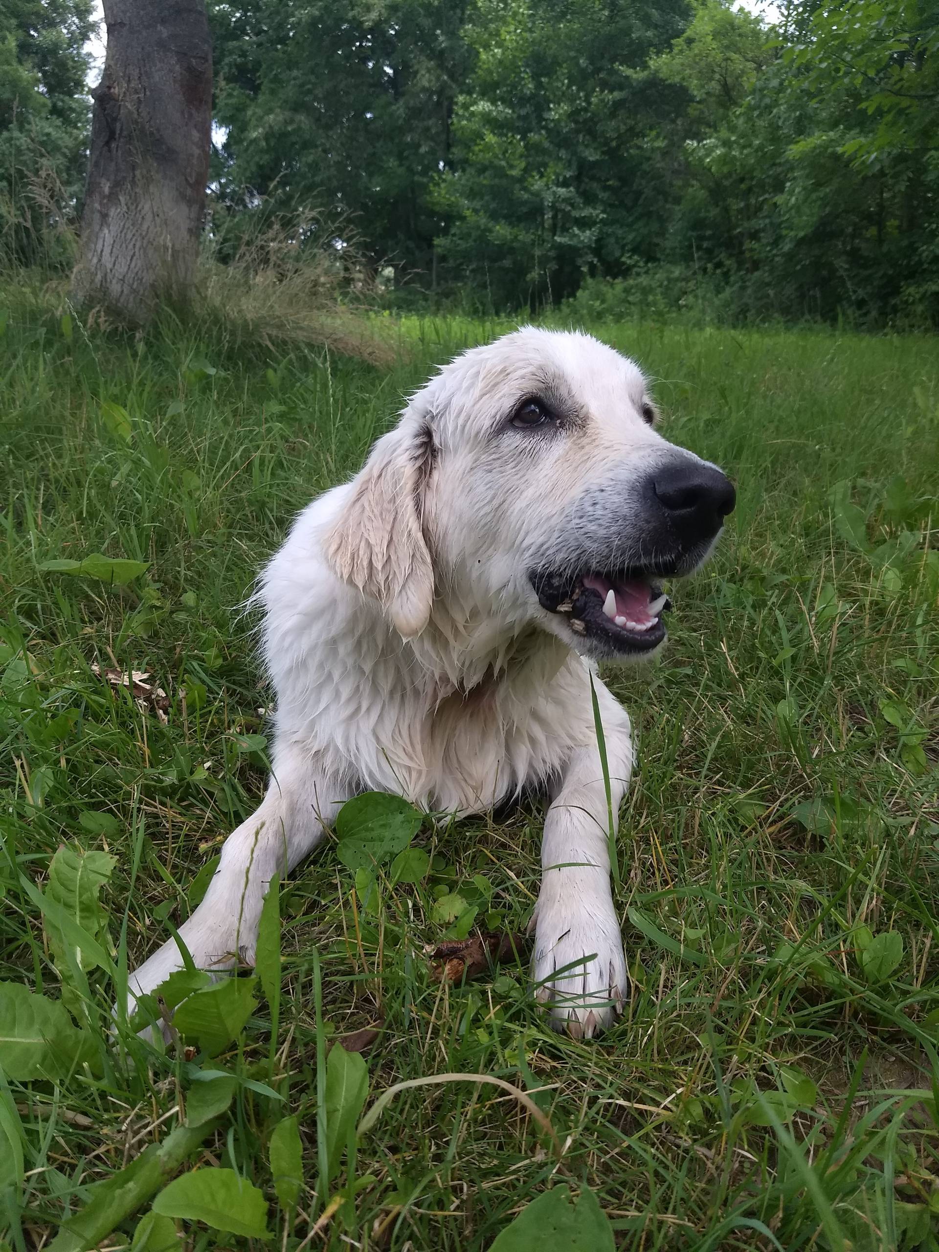 IMG 20210705 125823479 - ...