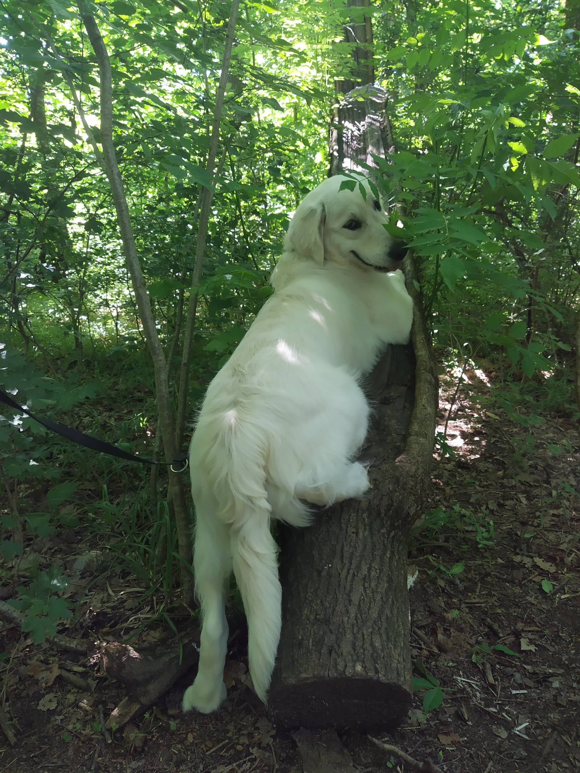 IMG 20210706 110237 - ...