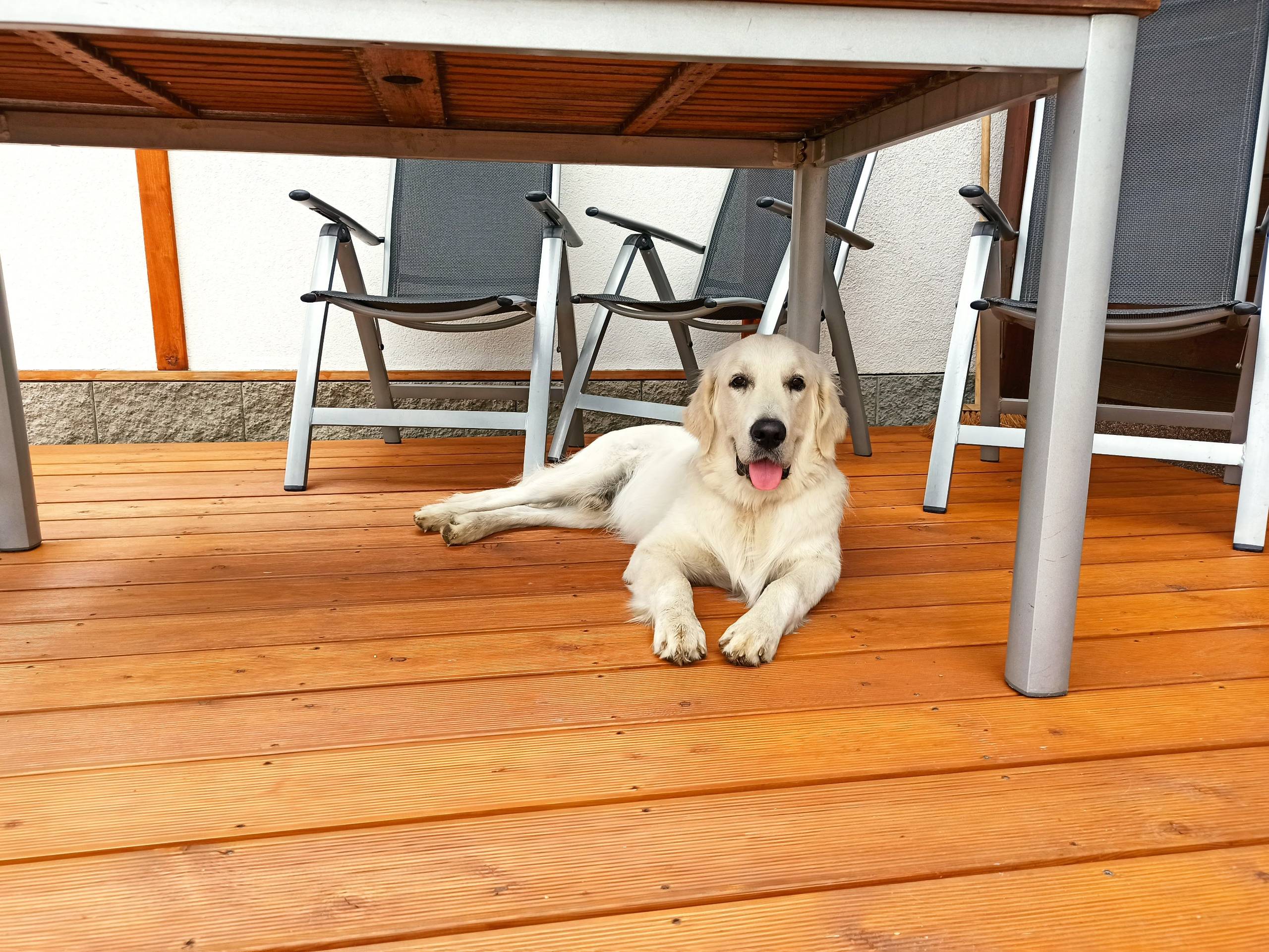 IMG 20210718 102521 - ...