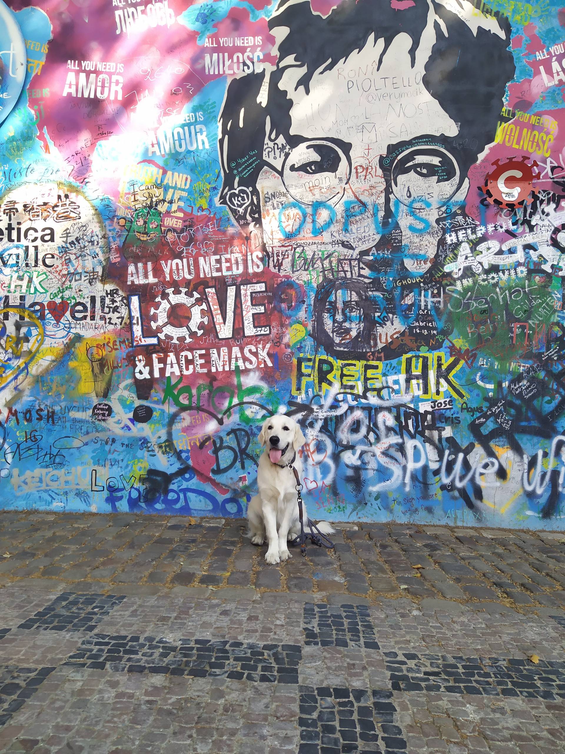 IMG 20210726 095413 - ...