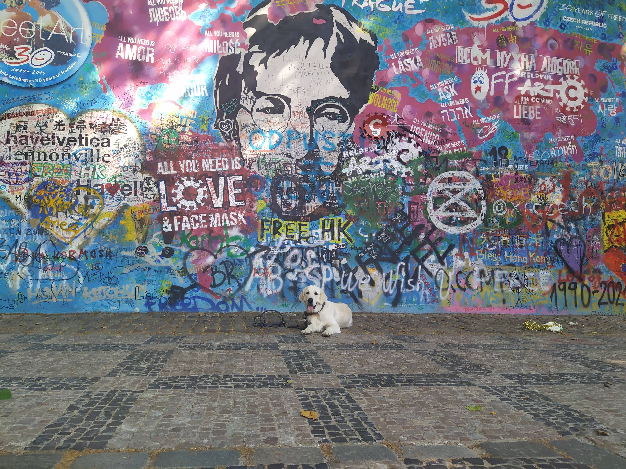 IMG 20210726 095645 - ...