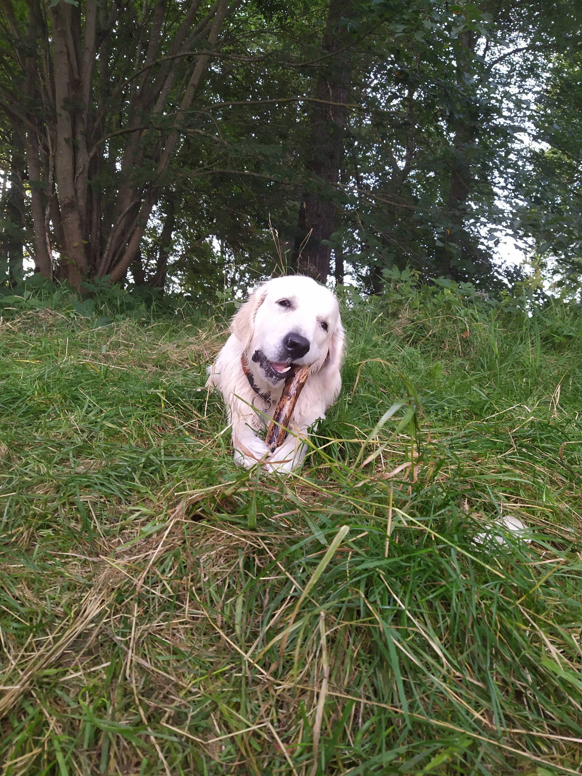 IMG 20210821 191437 - ...