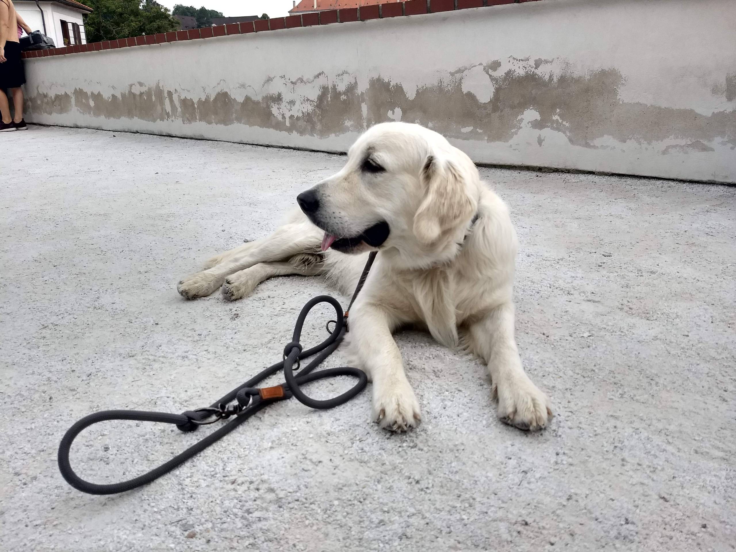 IMG 20210822 114532281 HDR - ...