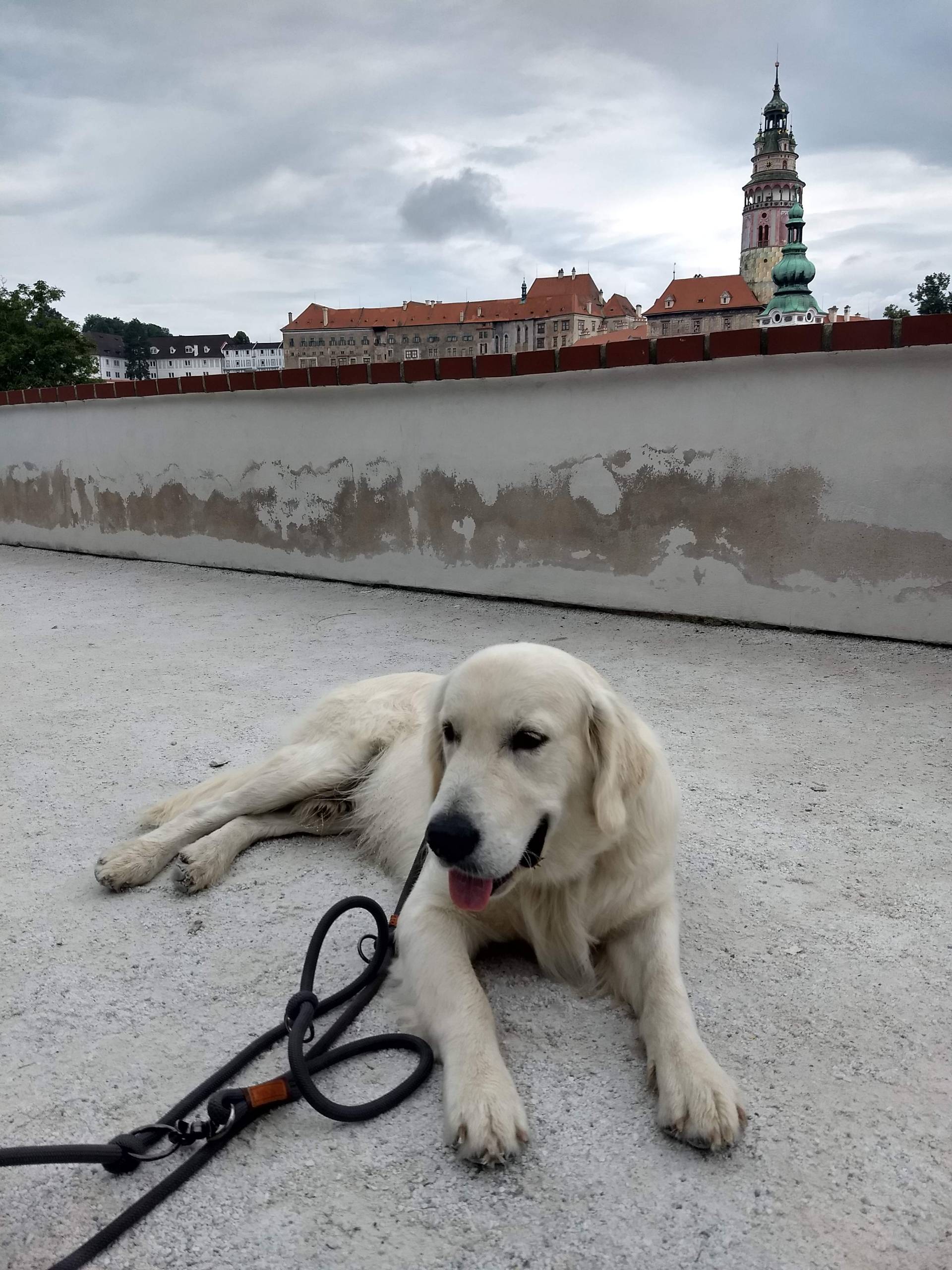 IMG 20210822 114537456 HDR - ...