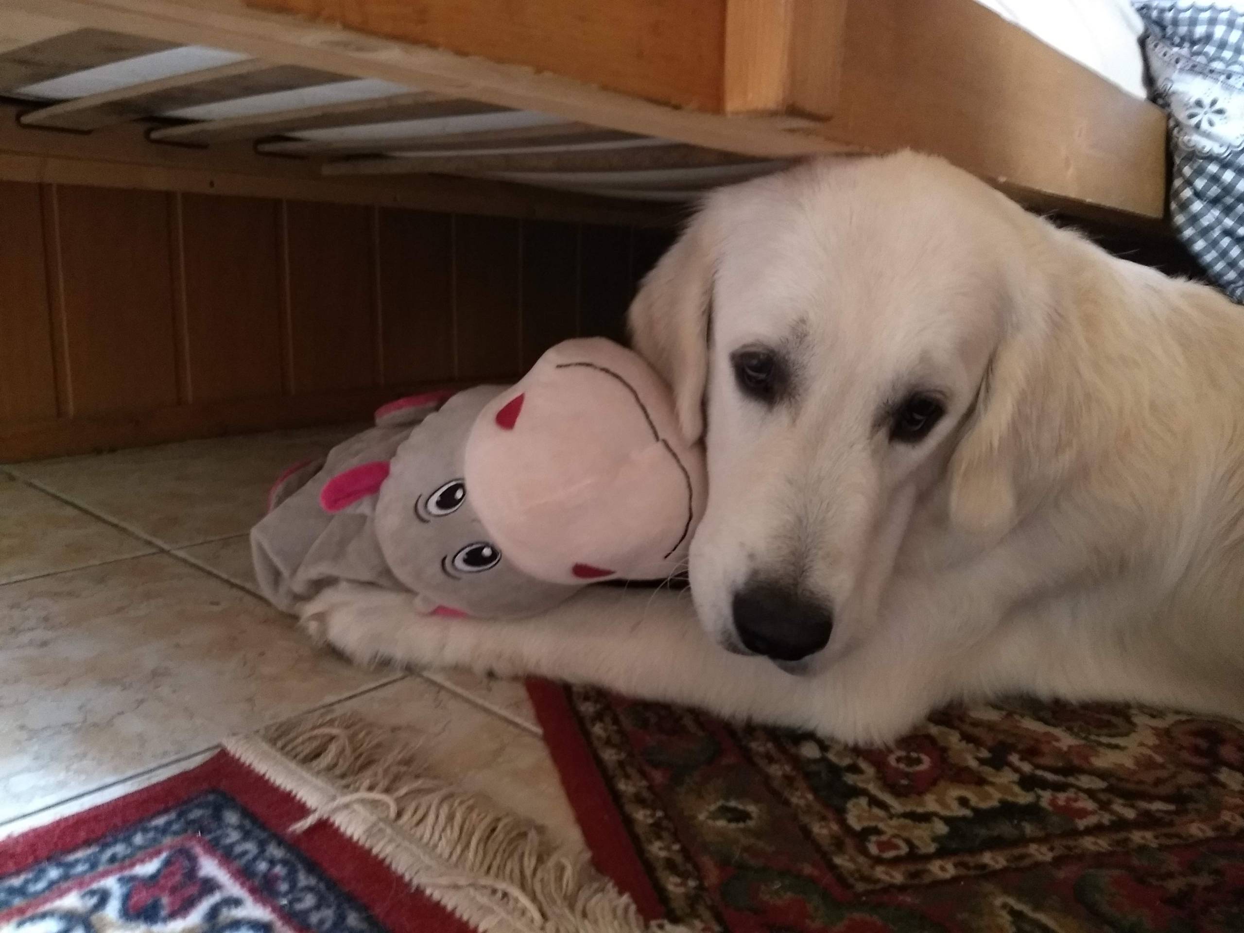 IMG 20210823 084816289 - ...