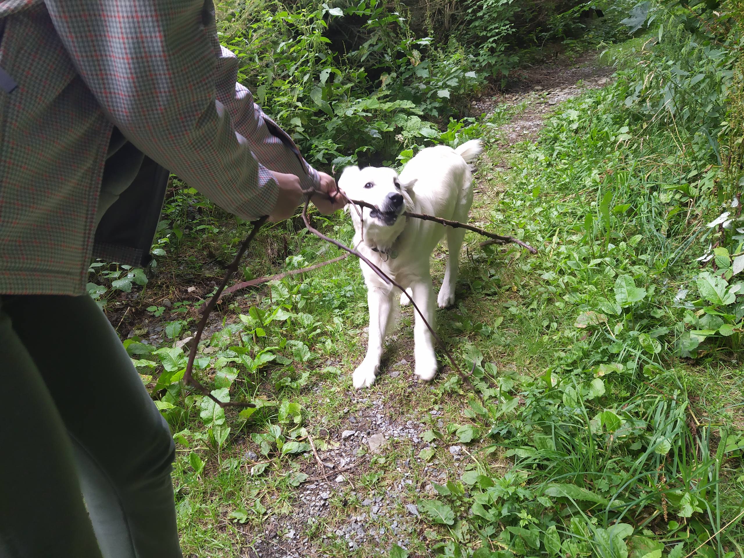 IMG 20210823 165158 - ...