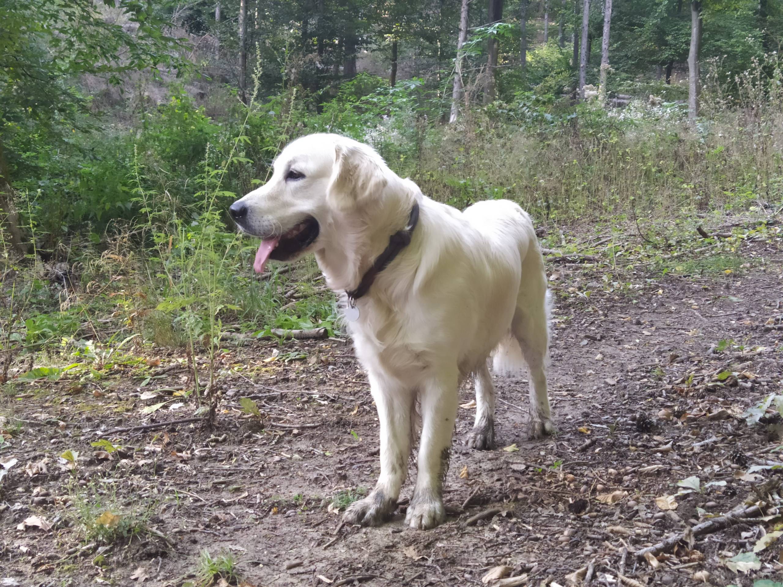 IMG 20210925 160805 - ...