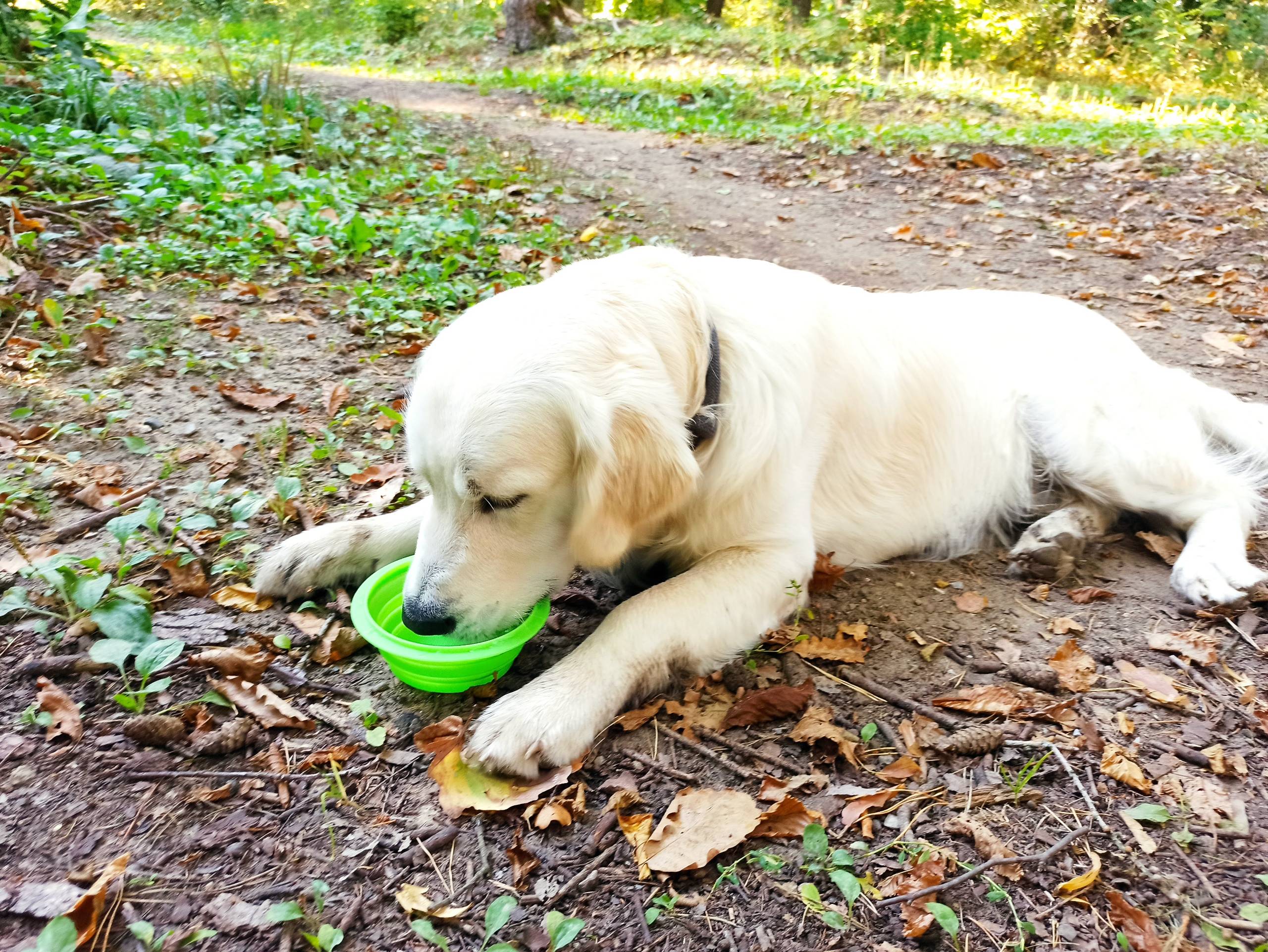 IMG 20210925 162011 - ...