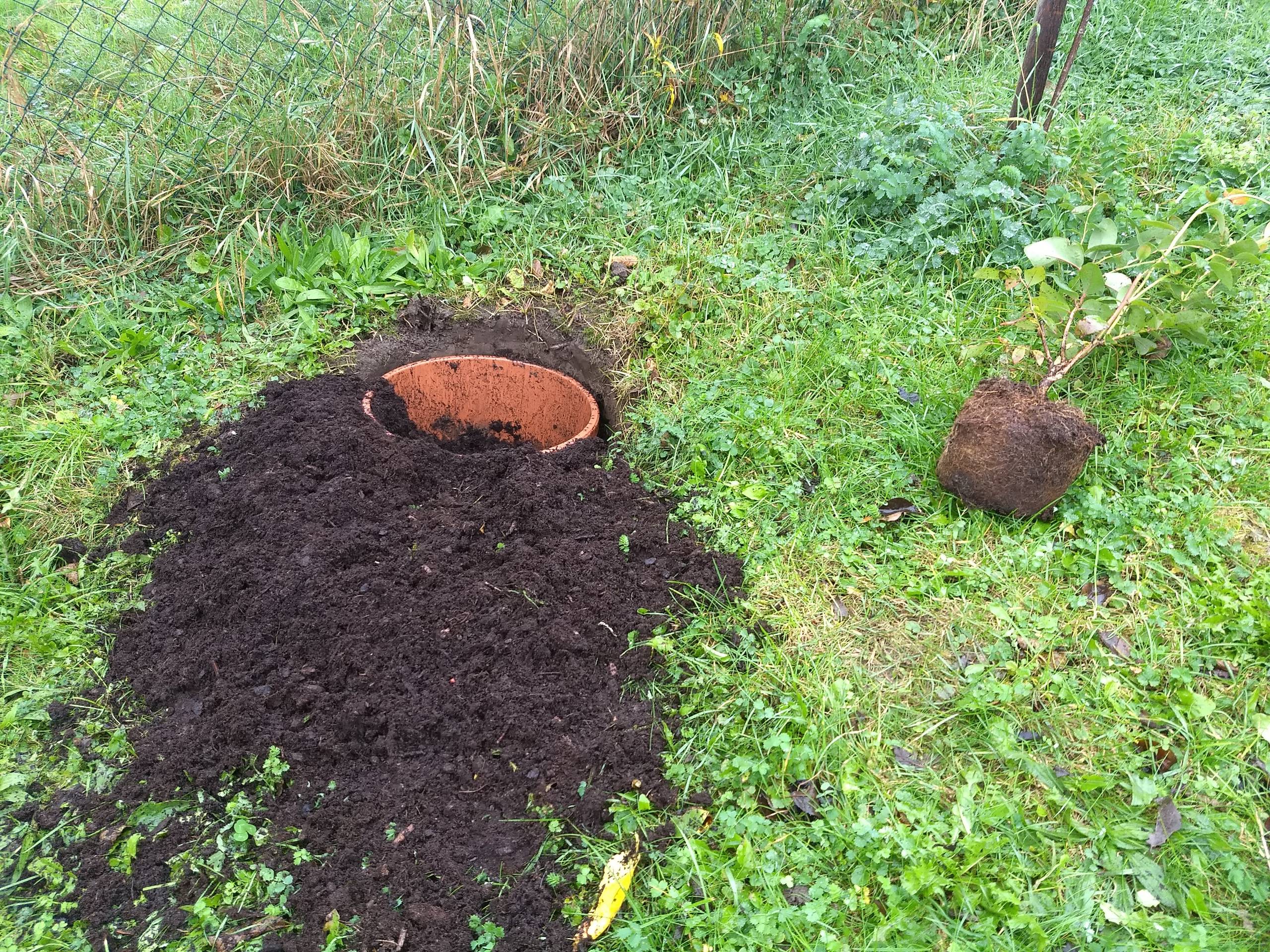 Albi nám taktně nanačil, že tuhle borůvku tady nechce :)