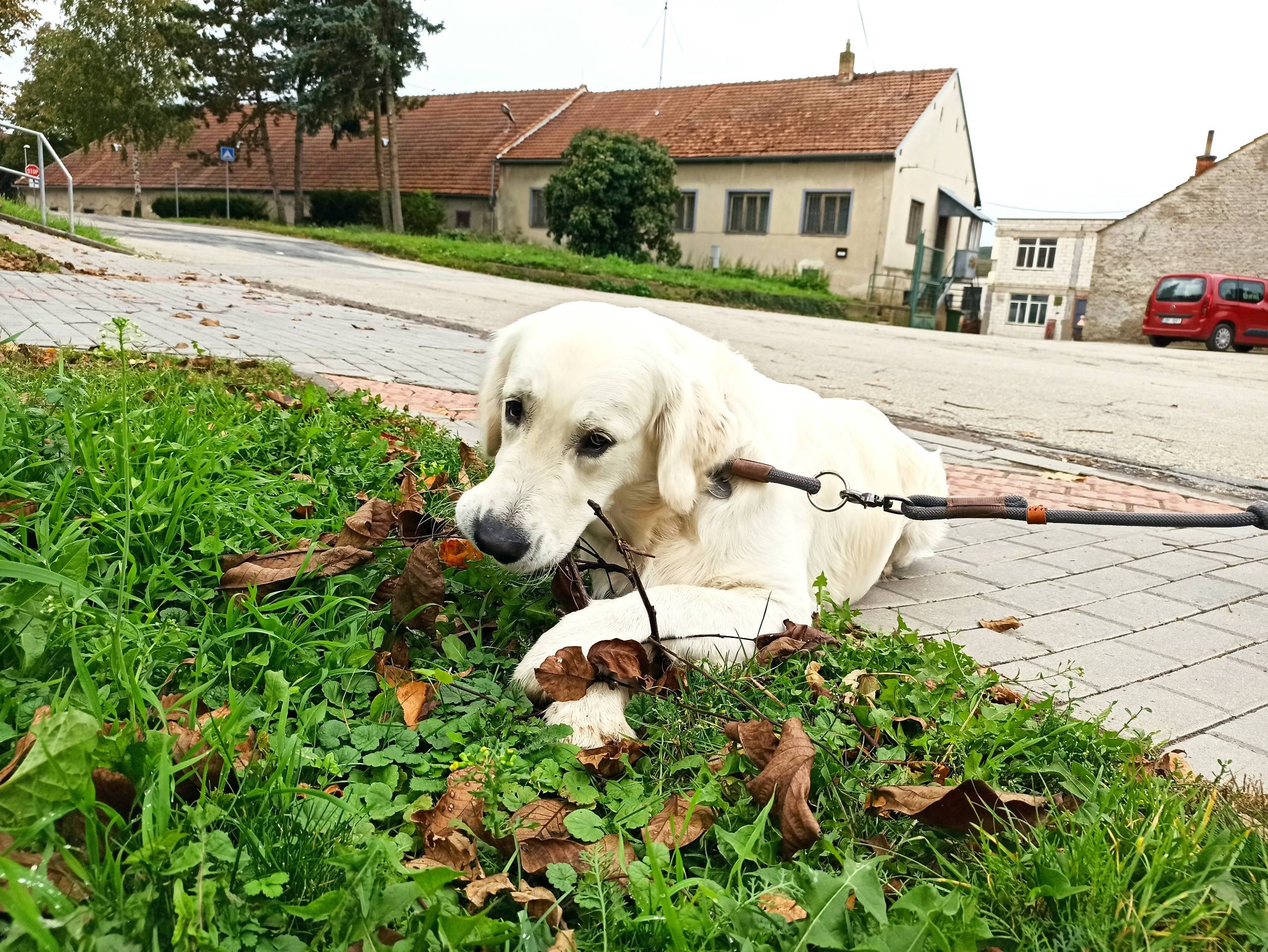 IMG 20211007 151650 - ...